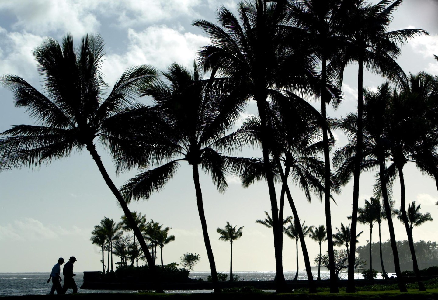 Sony Open