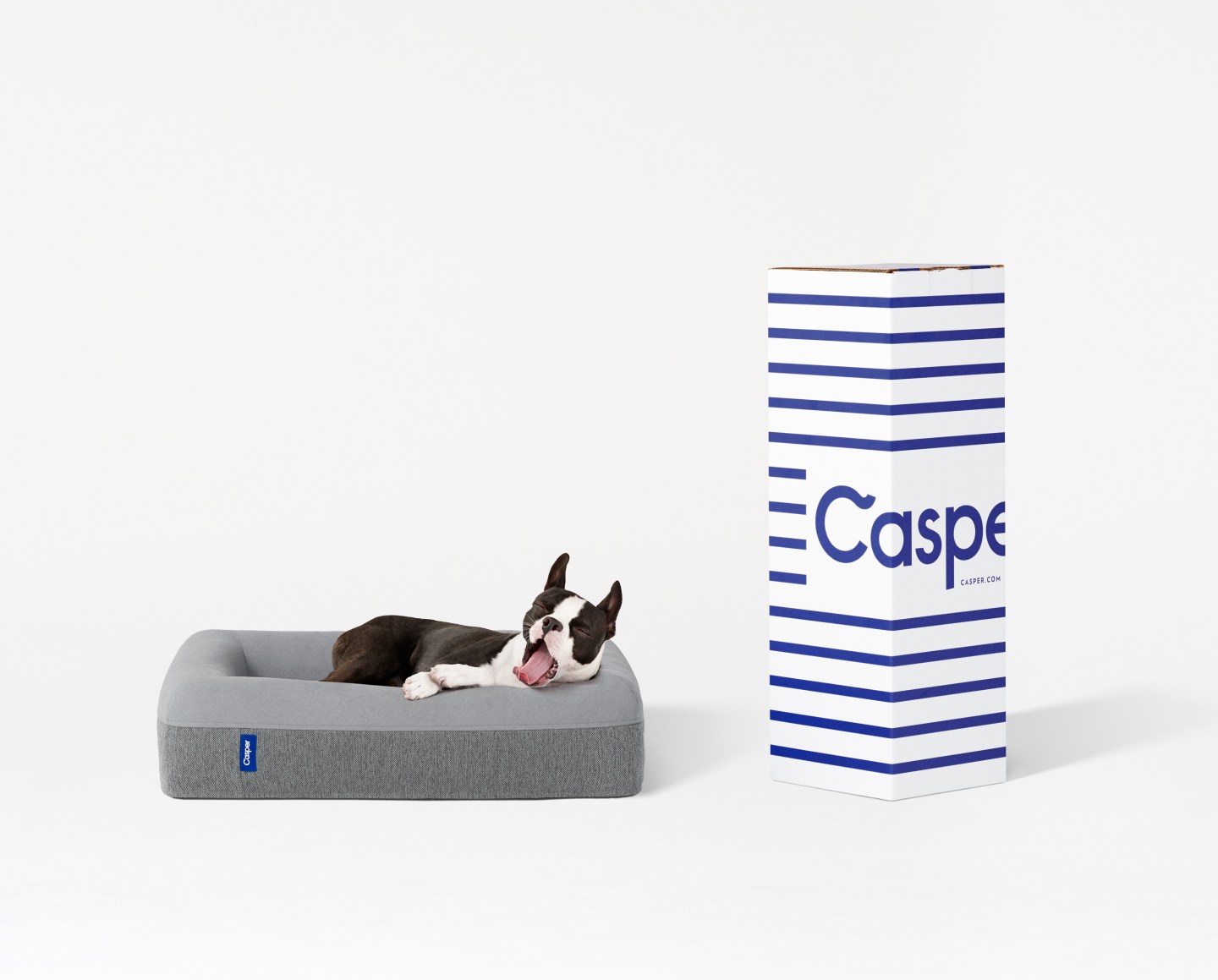 There’s a Dog Version of Airbnb, Uber and Pretty Much Every Other Service You Use