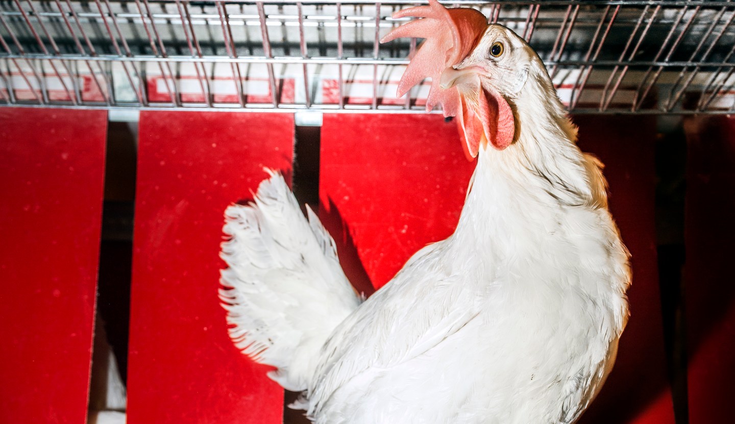 How McDonald’s Is Changing the World