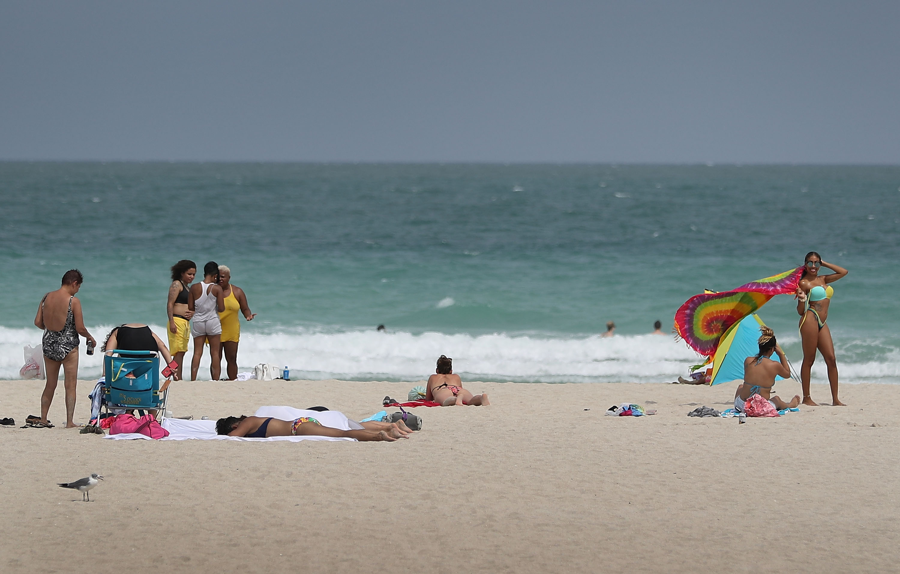 Miami Beach Mosquitoes Test Positive For Zika Virus