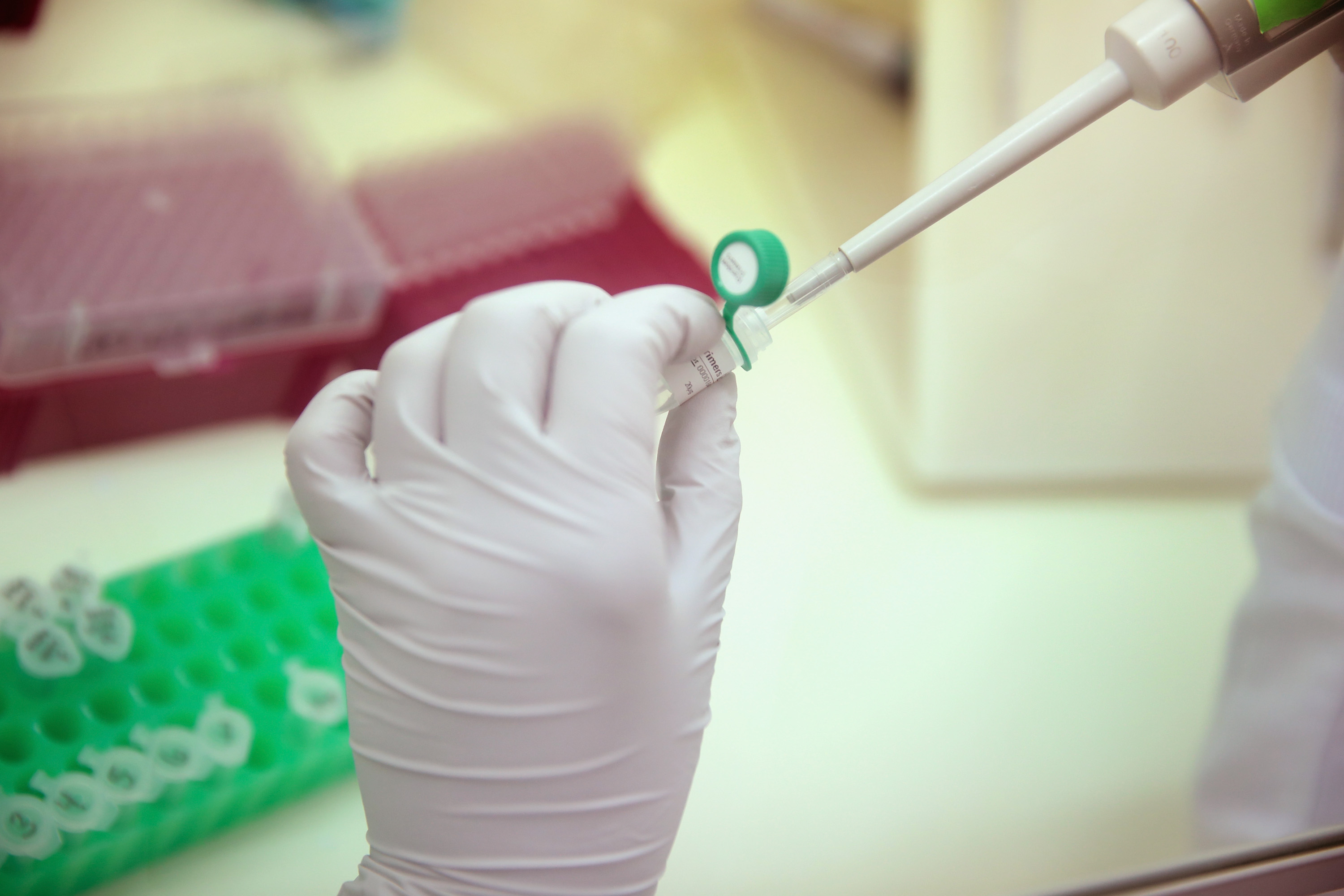A vaccine for the Zika virus could come to market in as little as two years.