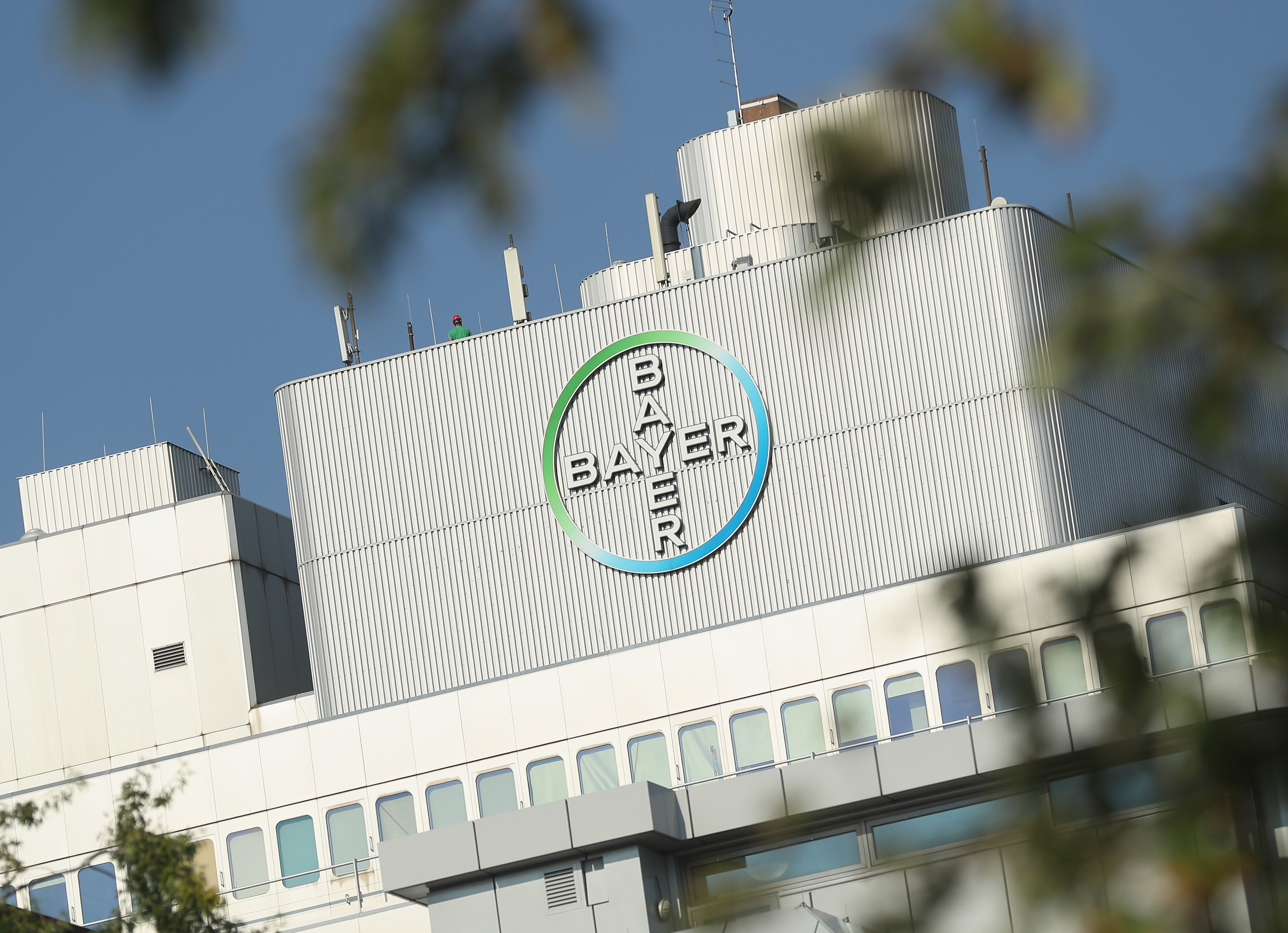 Bayer Buys Monsanto