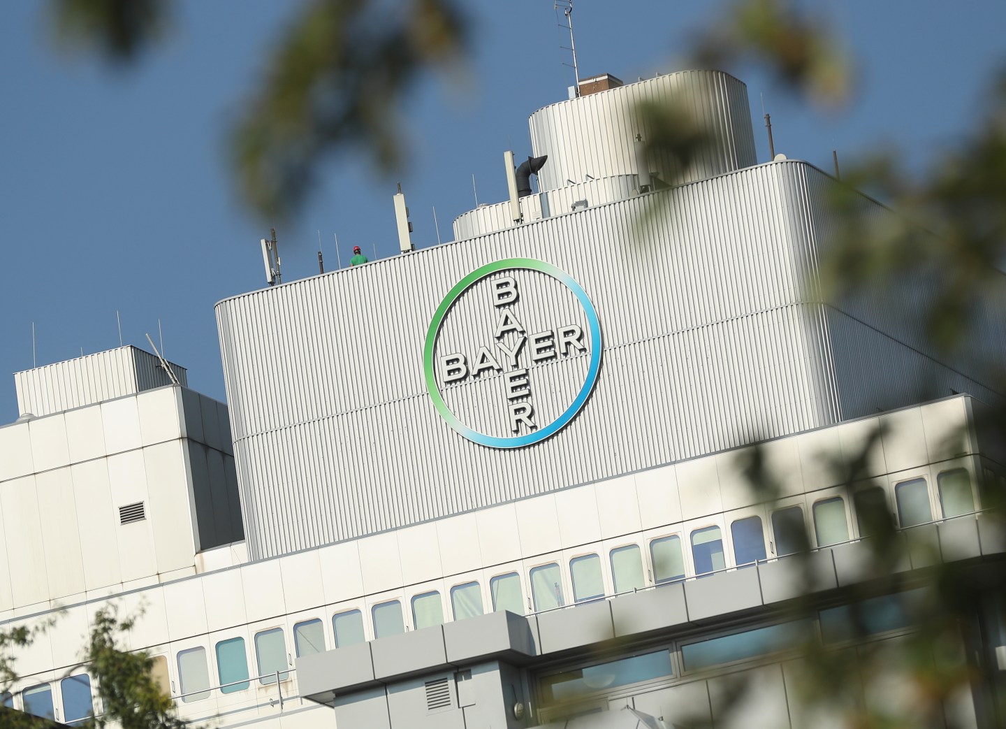 Bayer Buys Monsanto