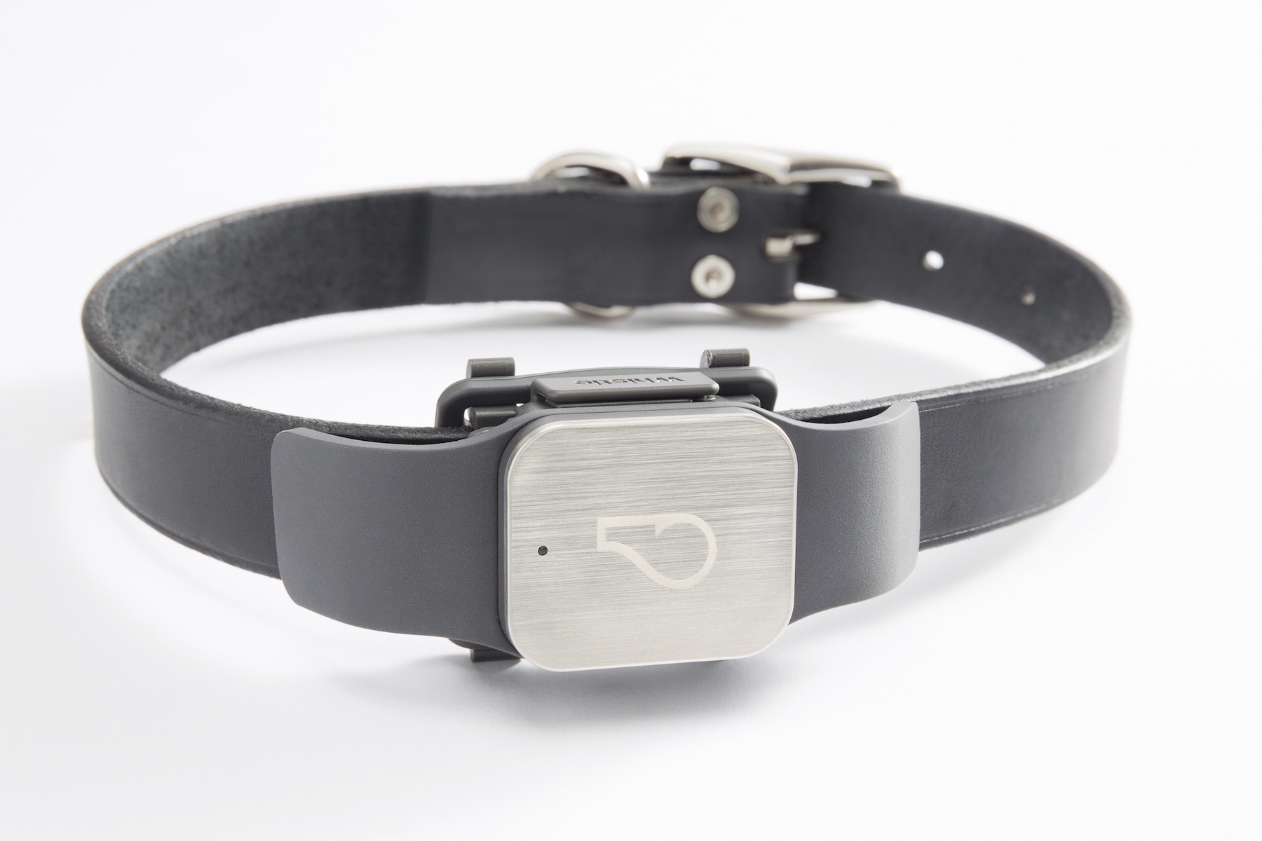 The Whistle collar for dogs.