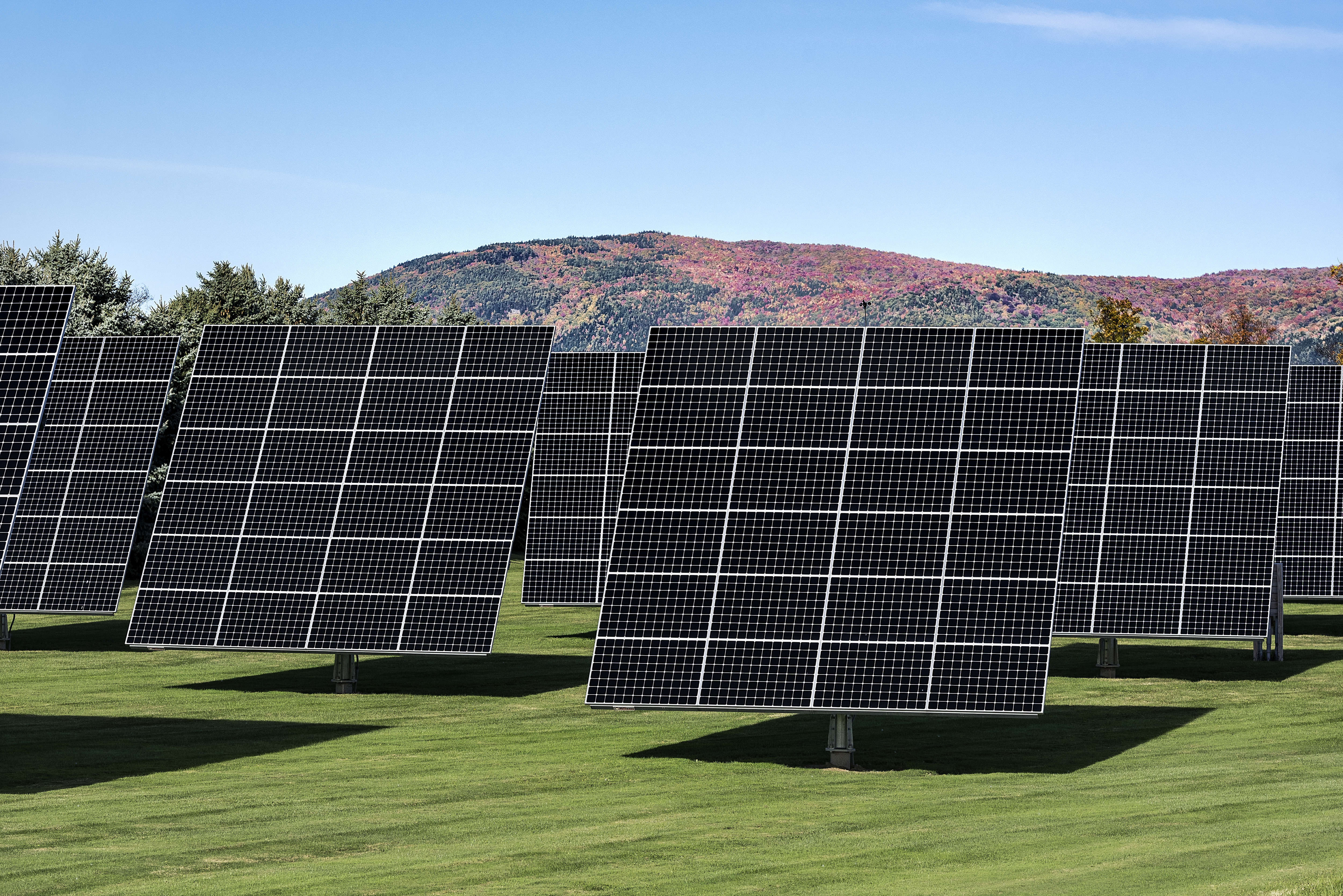 Solar panel array on solar farm