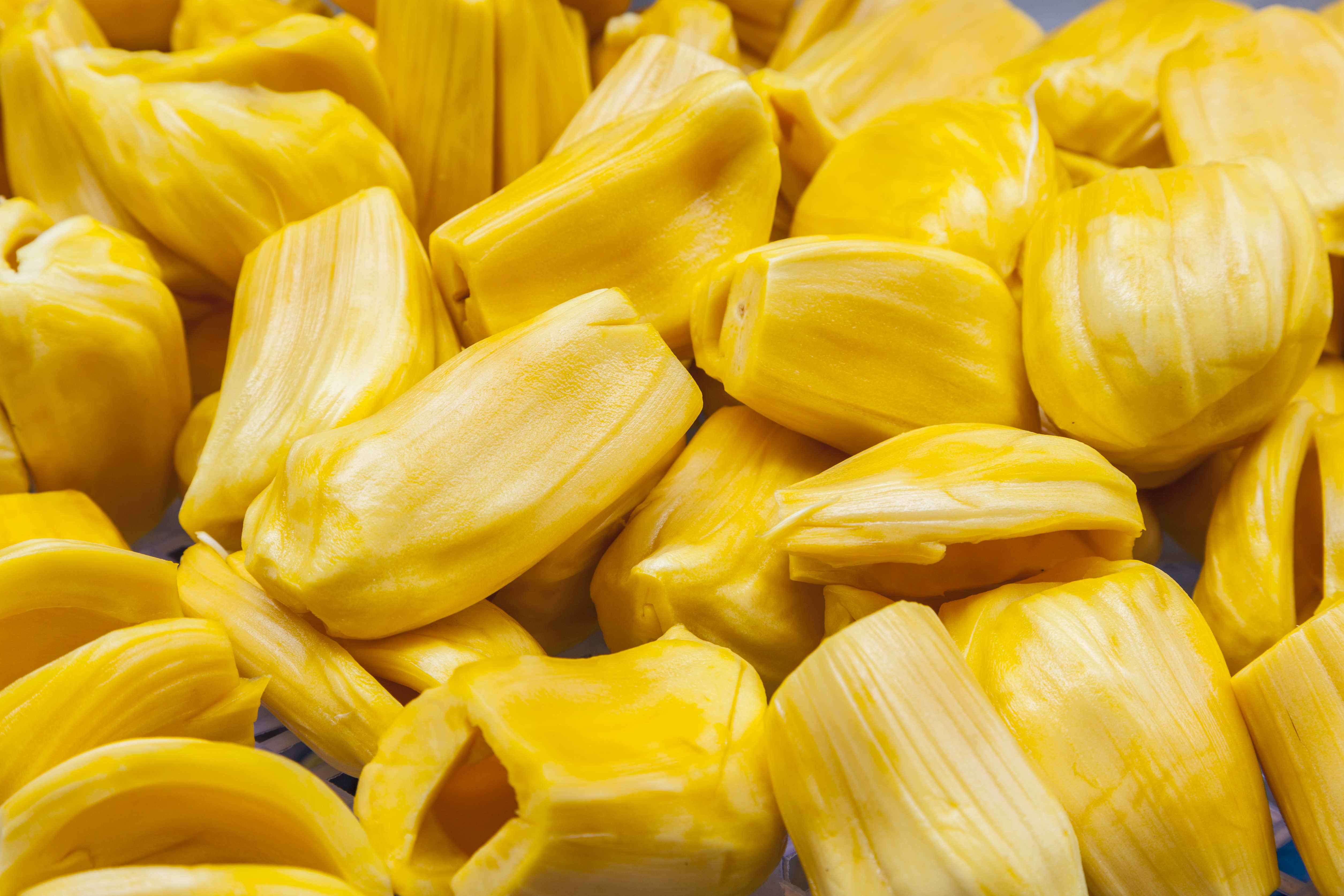 Closeup of jackfruit