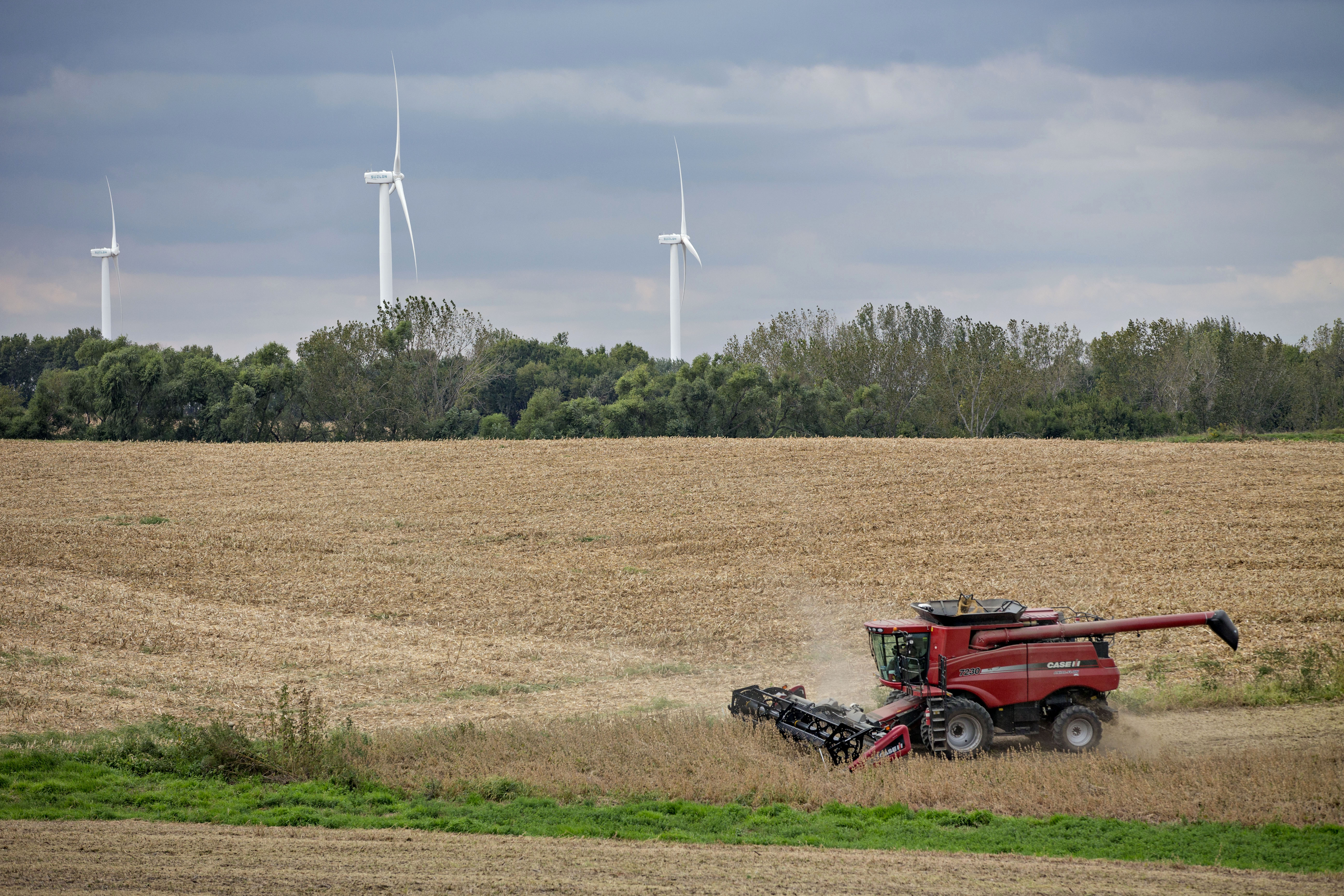 Soybean Harvest As Department Of Agriculture Releases Farm Prices