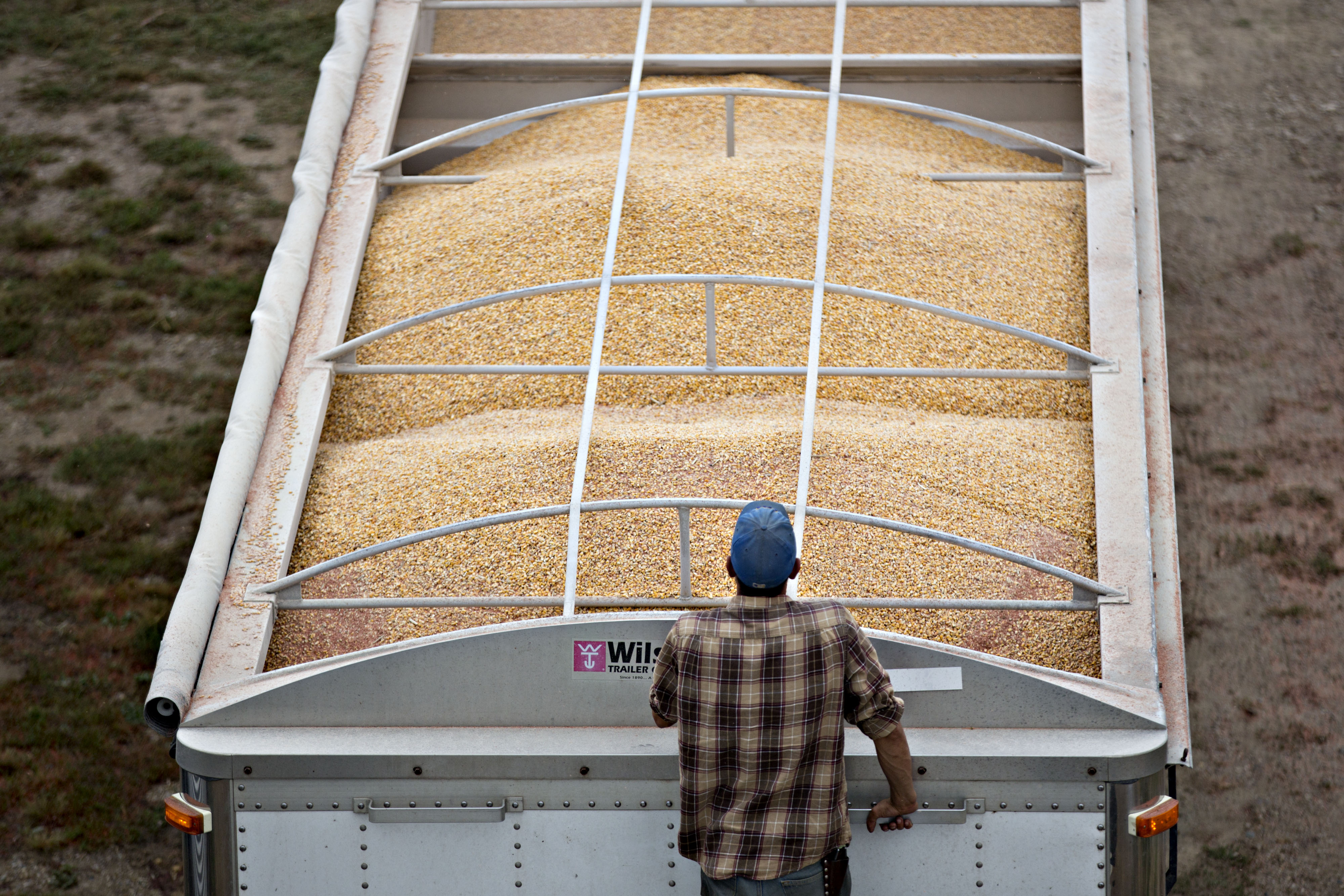 Monsanto Co. Products Ahead Of Earnings Figures