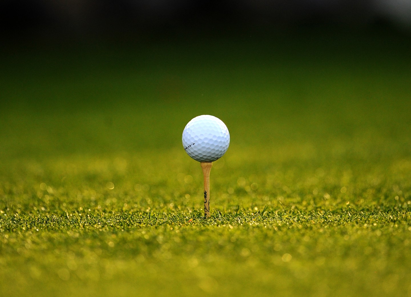 A golf ball sits on a tee during the second round of the Masters golf tournament at Augusta National Golf.