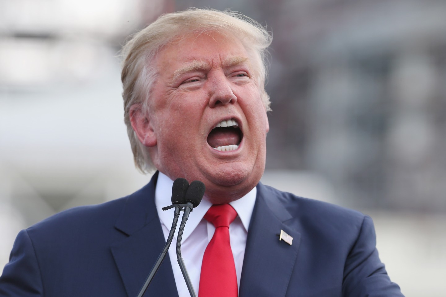 Donald Trump And Ted Cruz Join Capitol Hill Rally Against Iran Deal