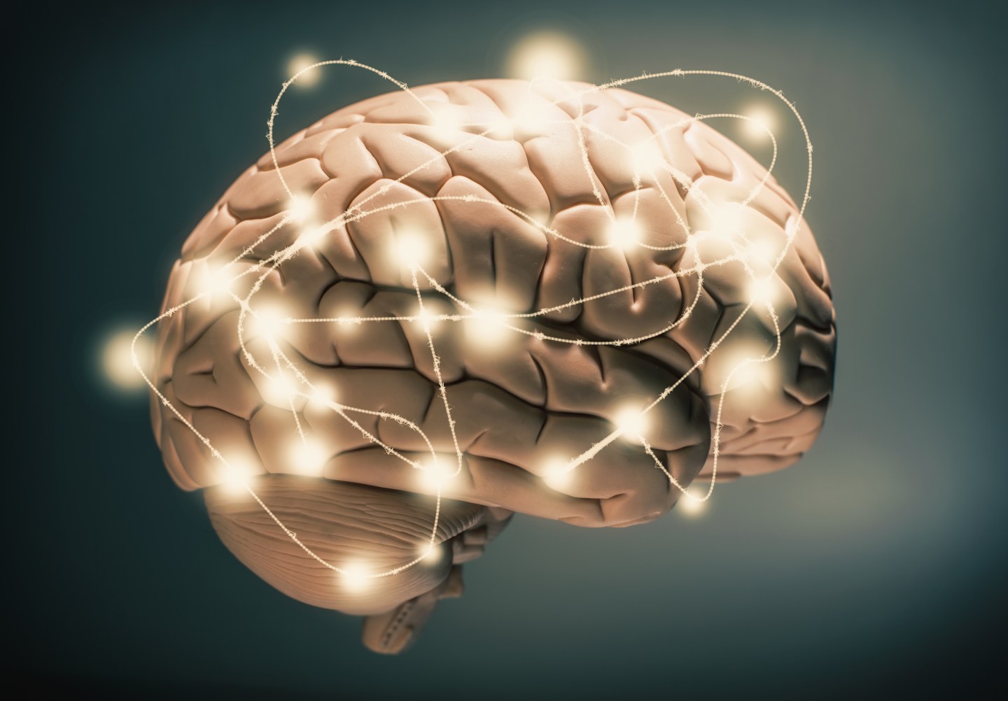 Active human brain