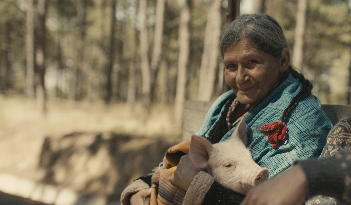 84 Lumber CEO Says Controversial Super Bowl Ad Was Not Pro-Immigration