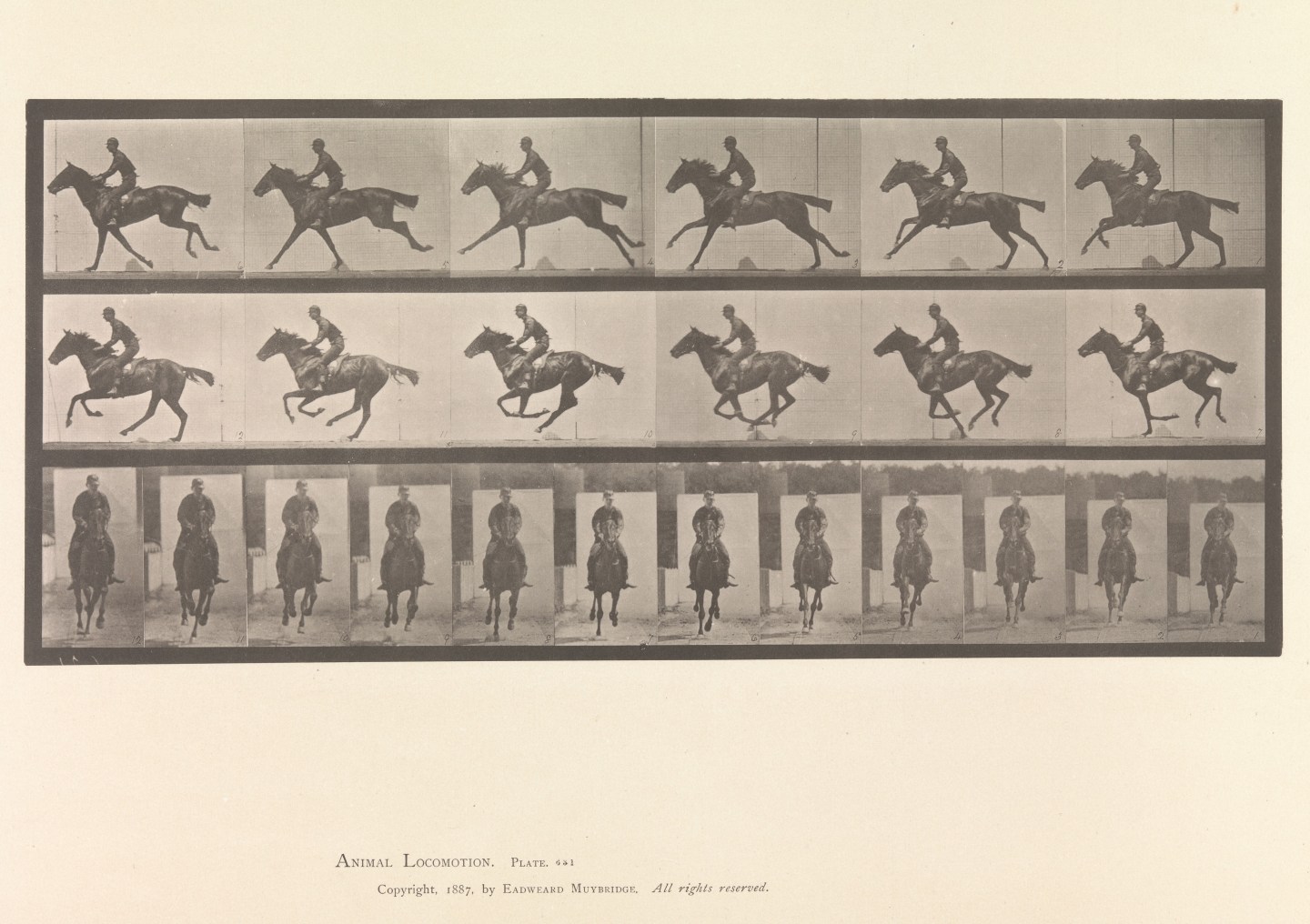 The Met Makes 375,000 Public Domain Images Available
