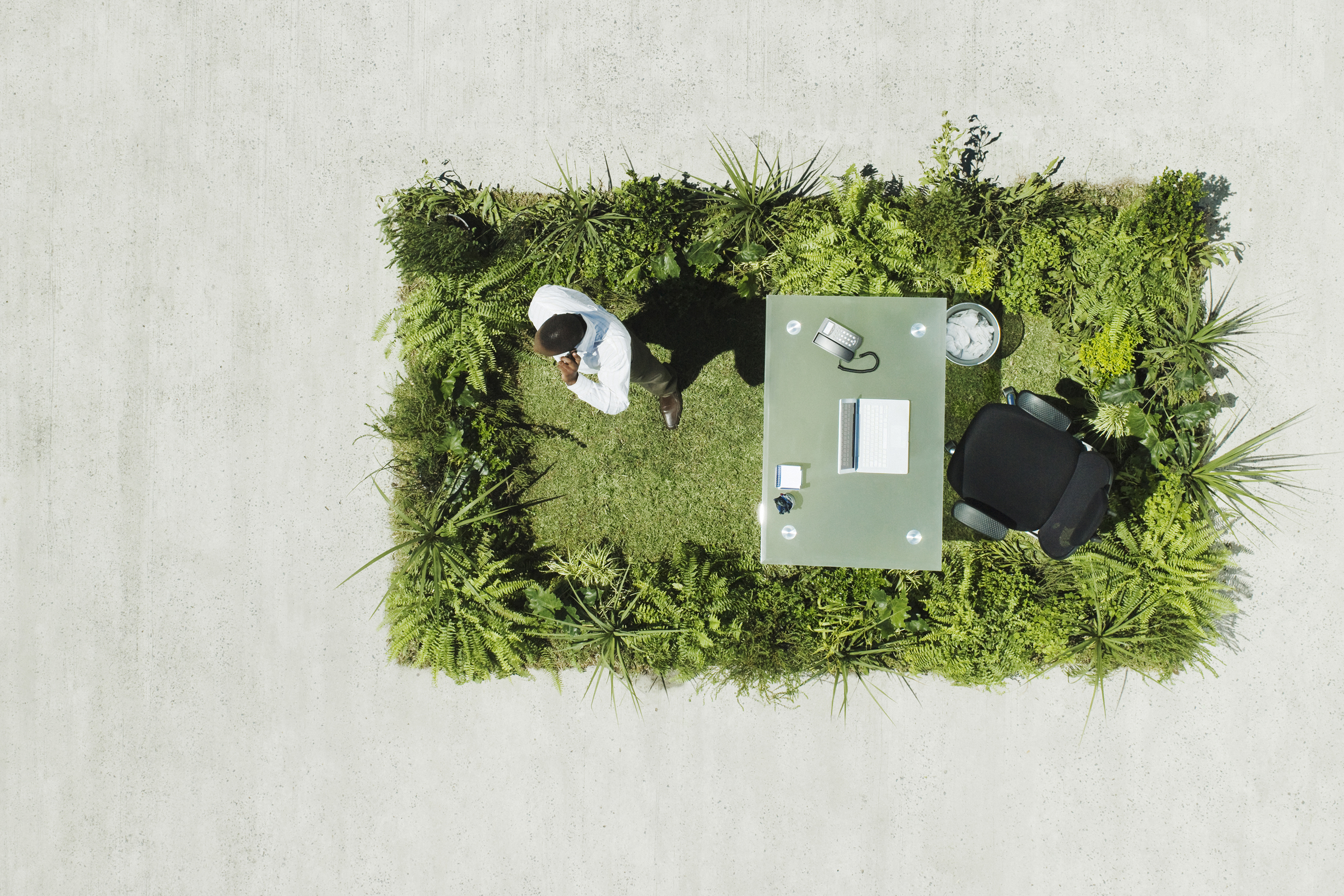 Businessman and desk on lush lawn in cement courtyard