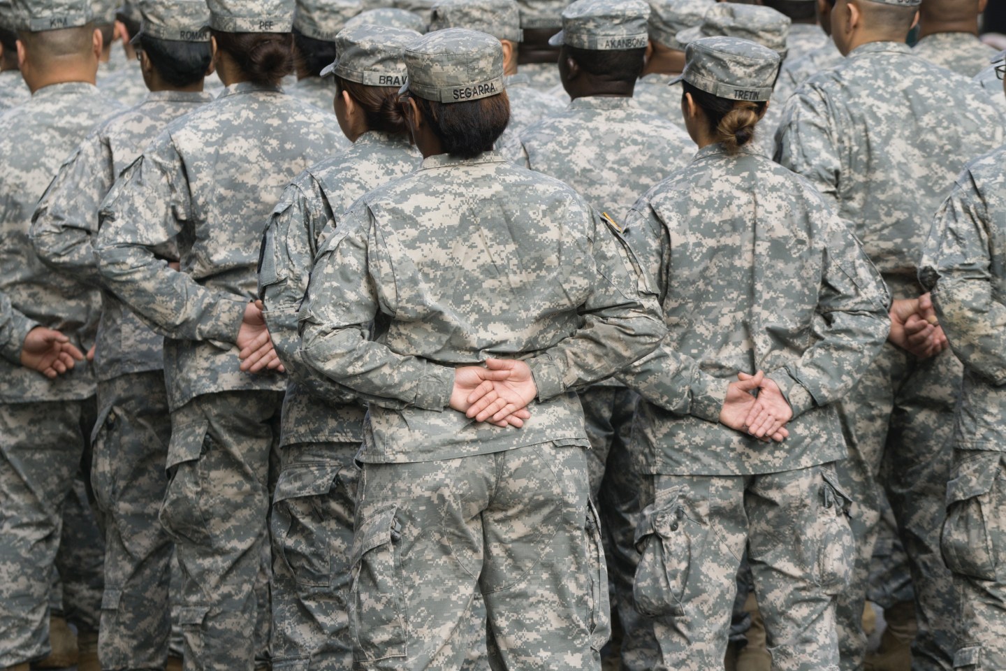 Veteran's Day