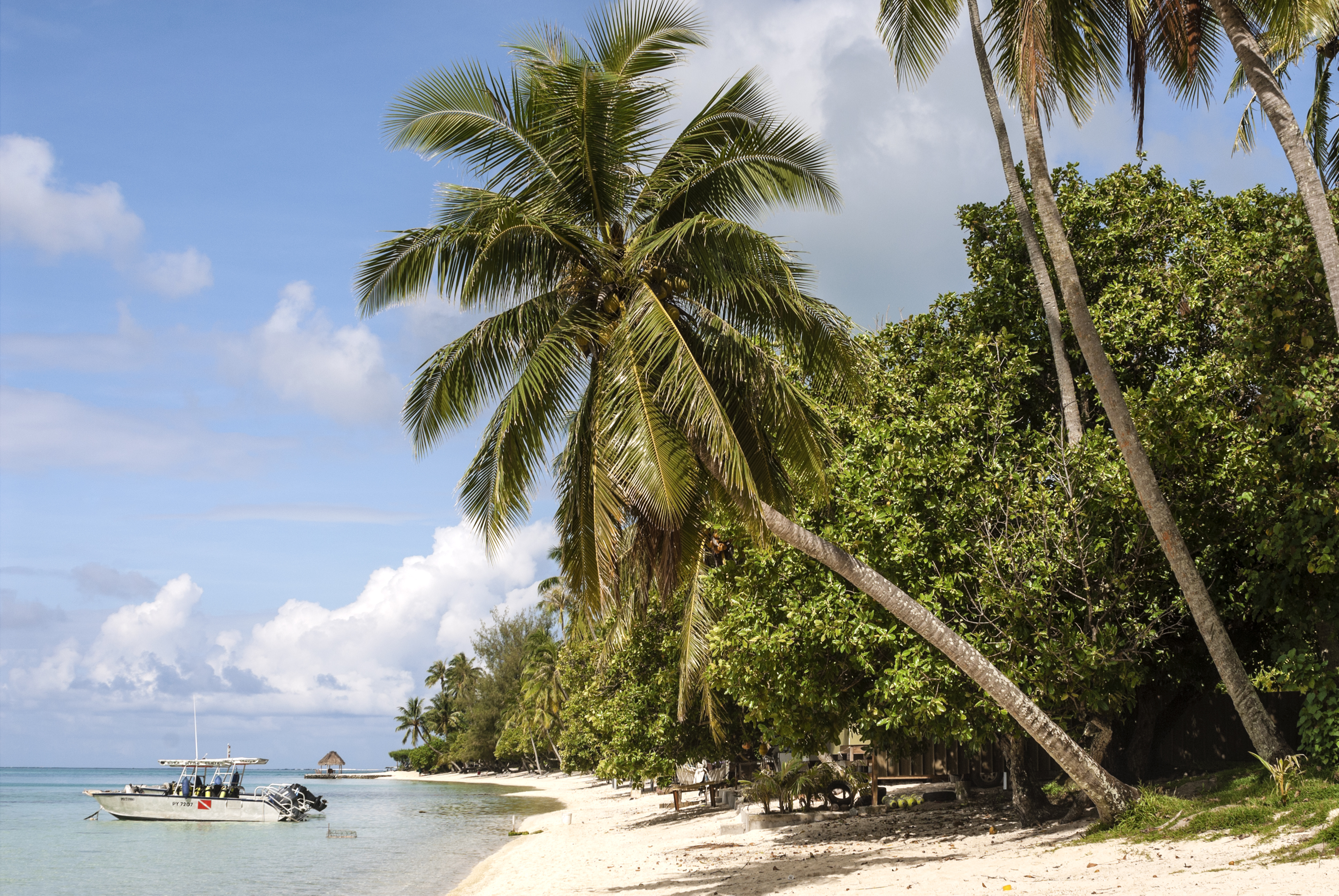 Scenic beach at the international tourist destination,