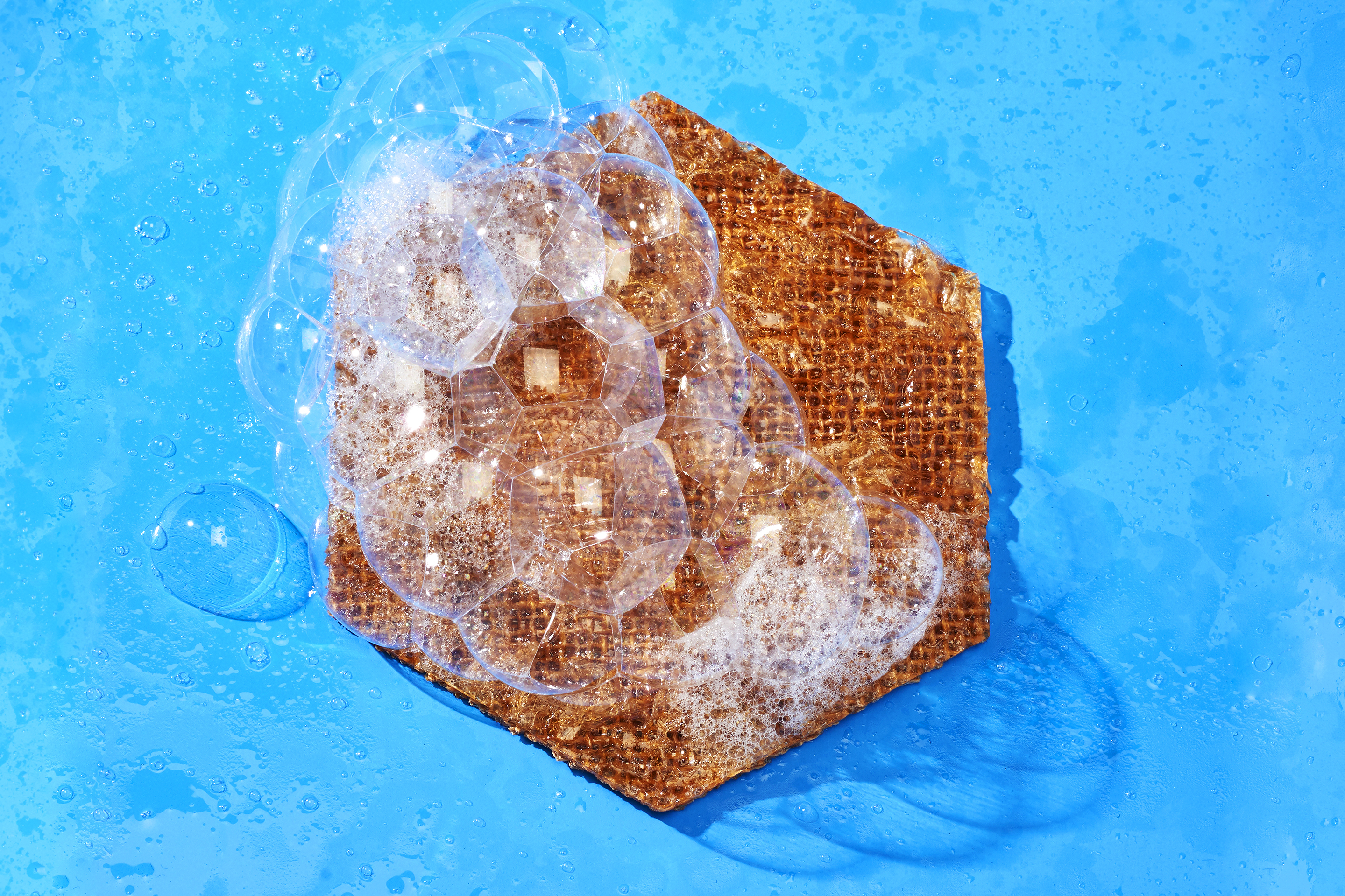 Tidal Vision’s “Tidal Scrub” sponge is antimicrobial, biodegradable, and made from a material extracted from discarded crab shells.