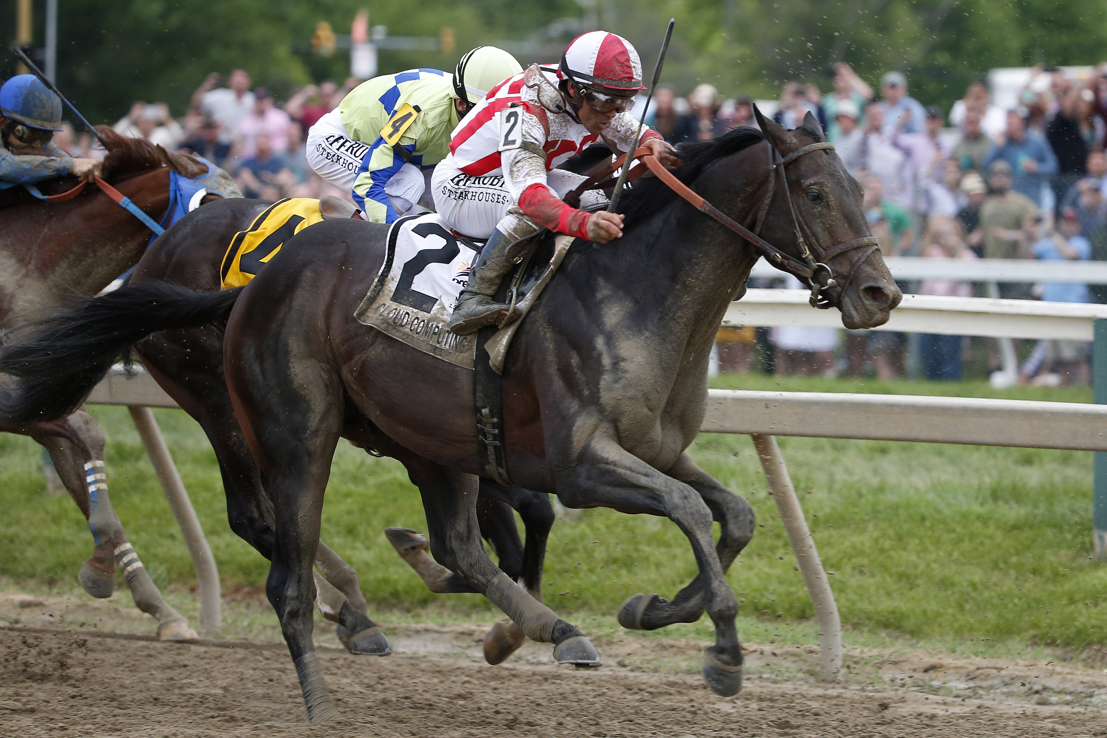 Horse Racing: 142nd Preakness Stakes