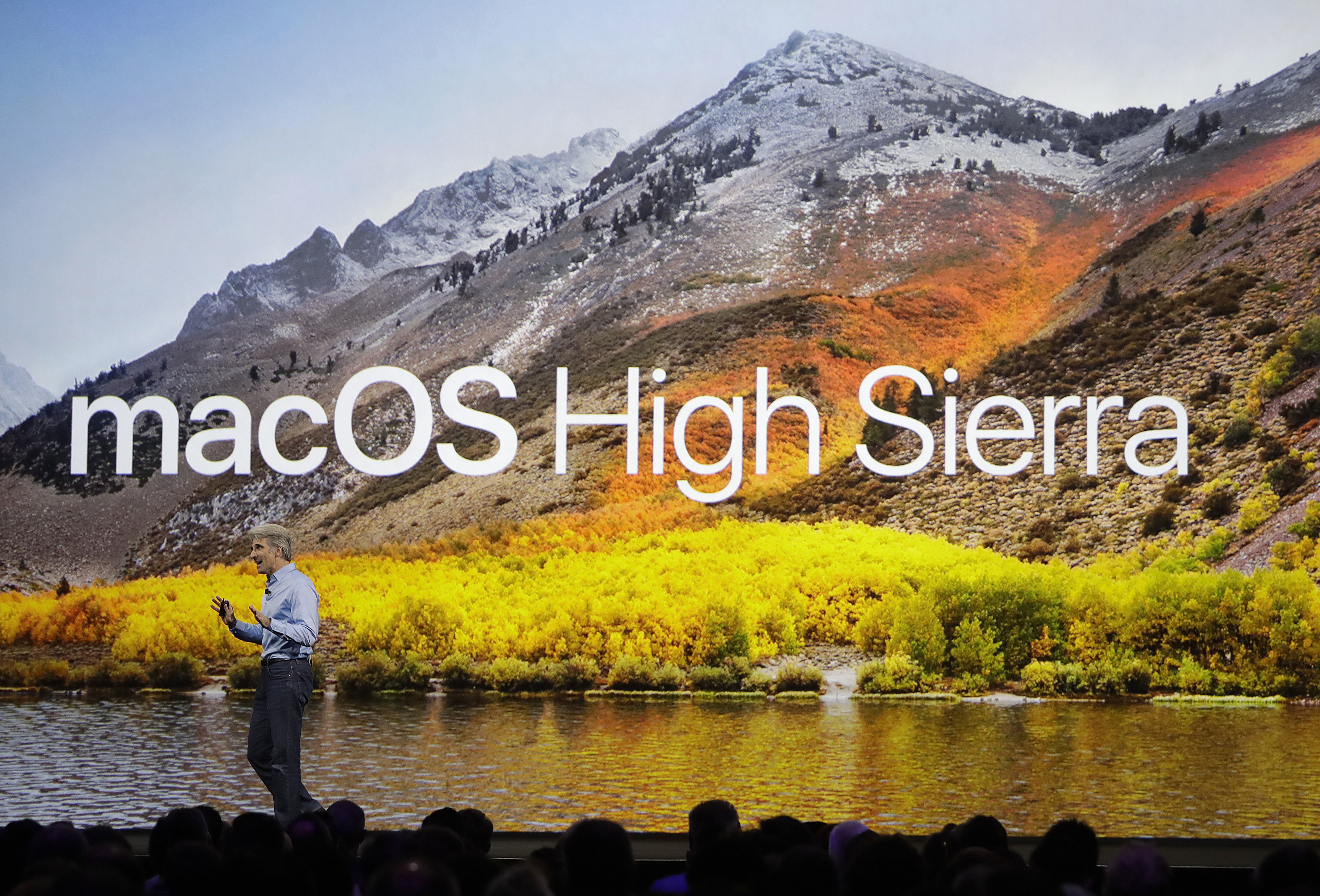Craig Federighi