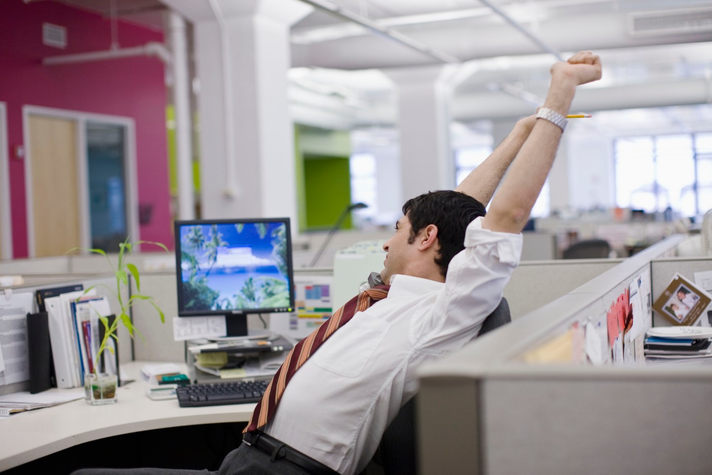 Office Environment in a diverse office