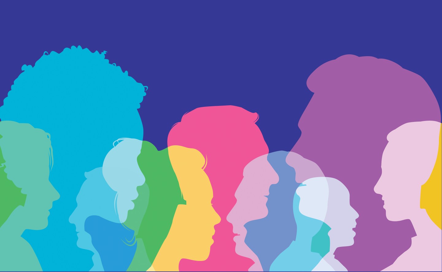 head_profiles_2