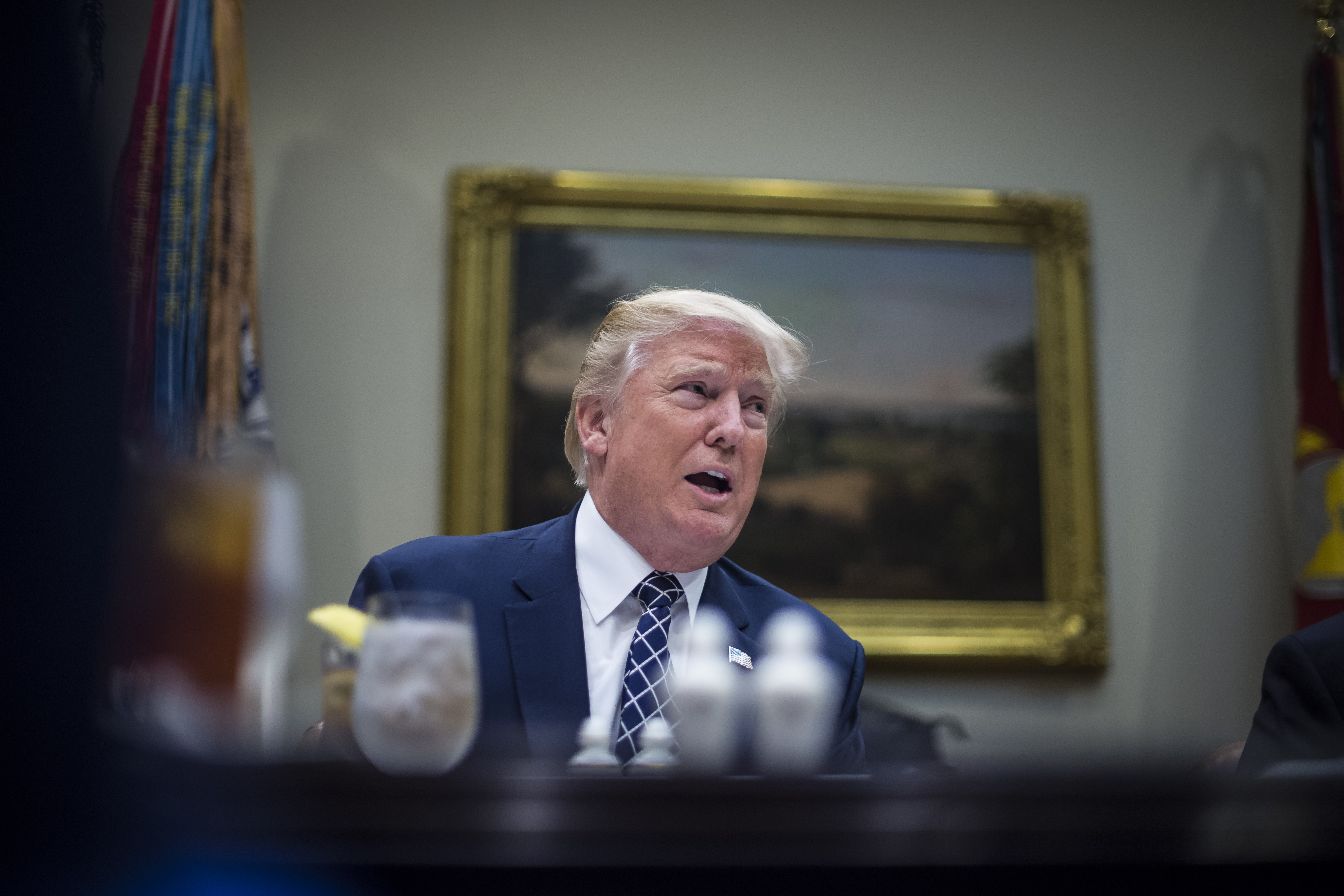 President Donald Trump