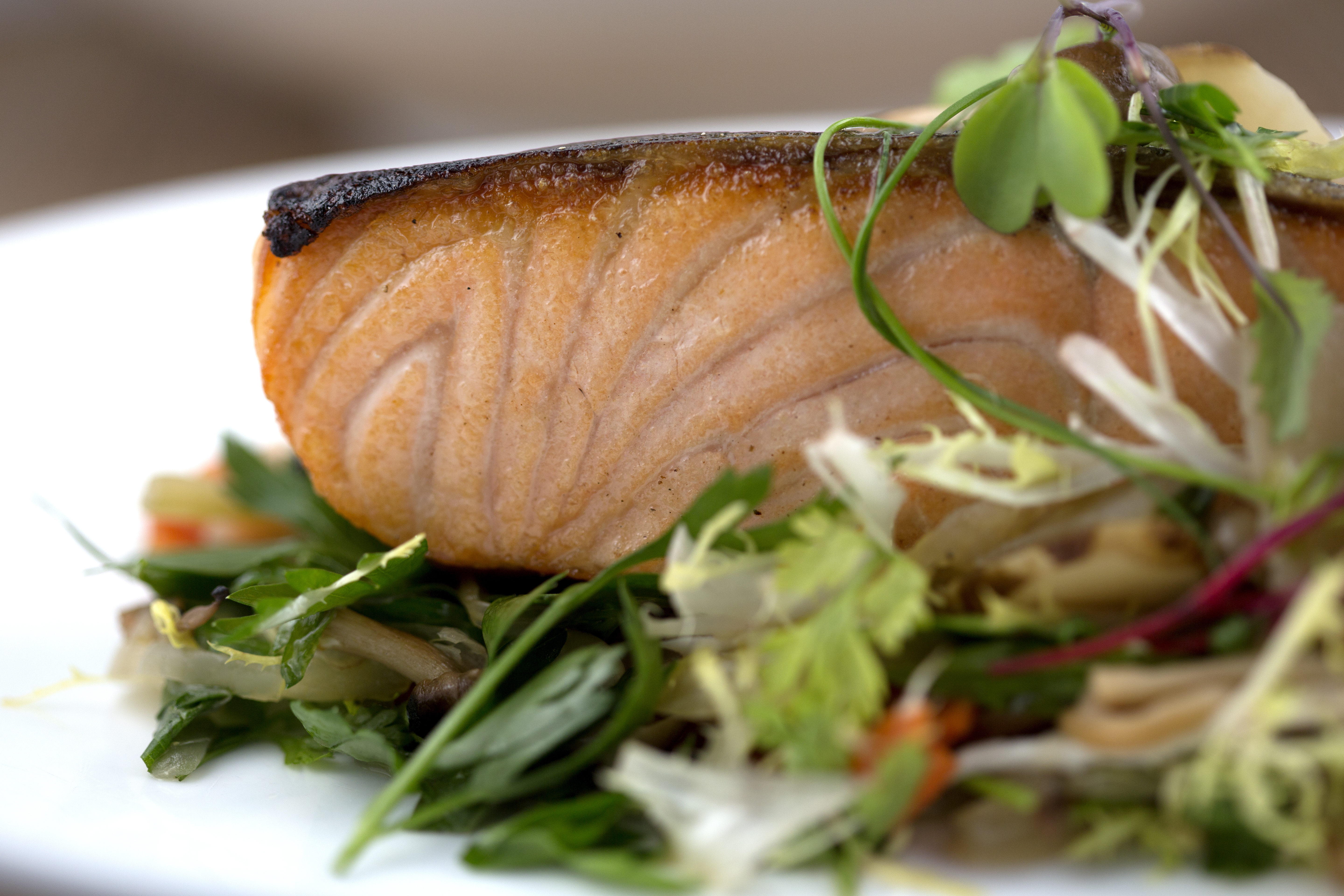Scottish salmon on a bed of greens.