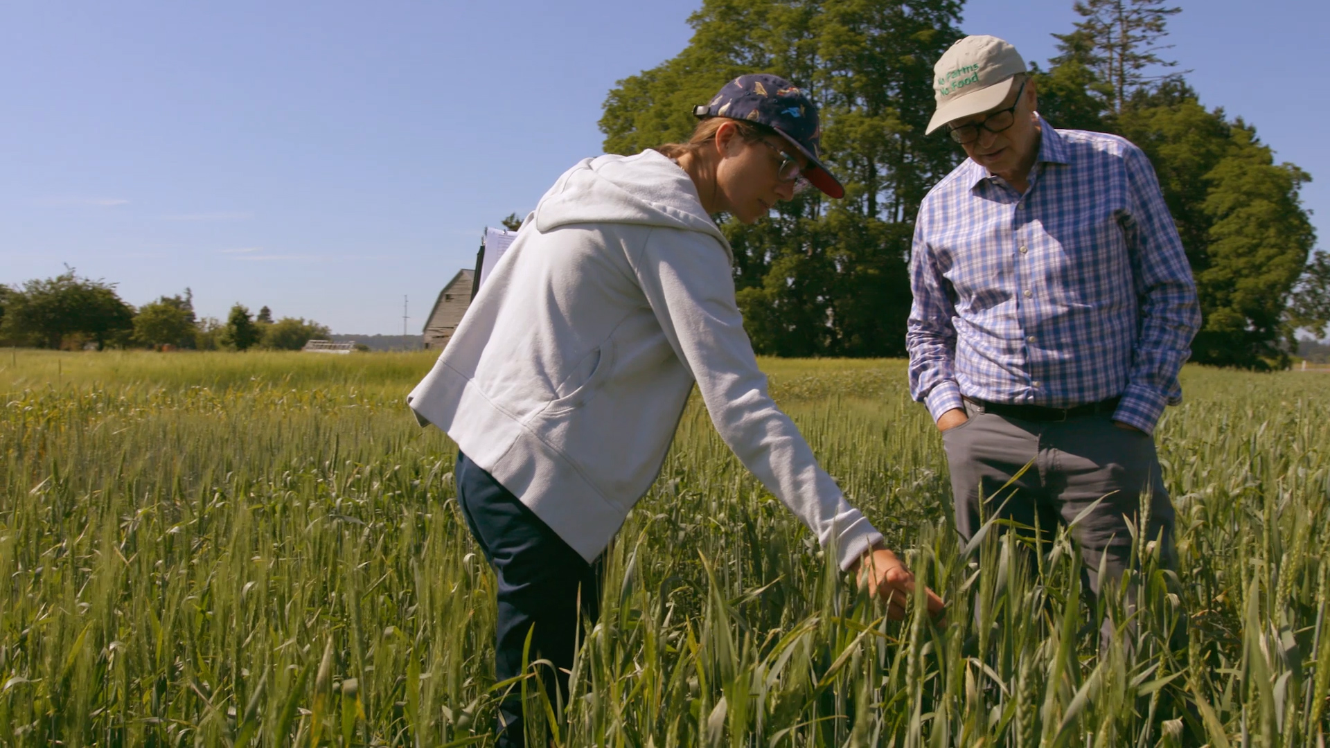 Bill Gates at Washington State's Bread Lab