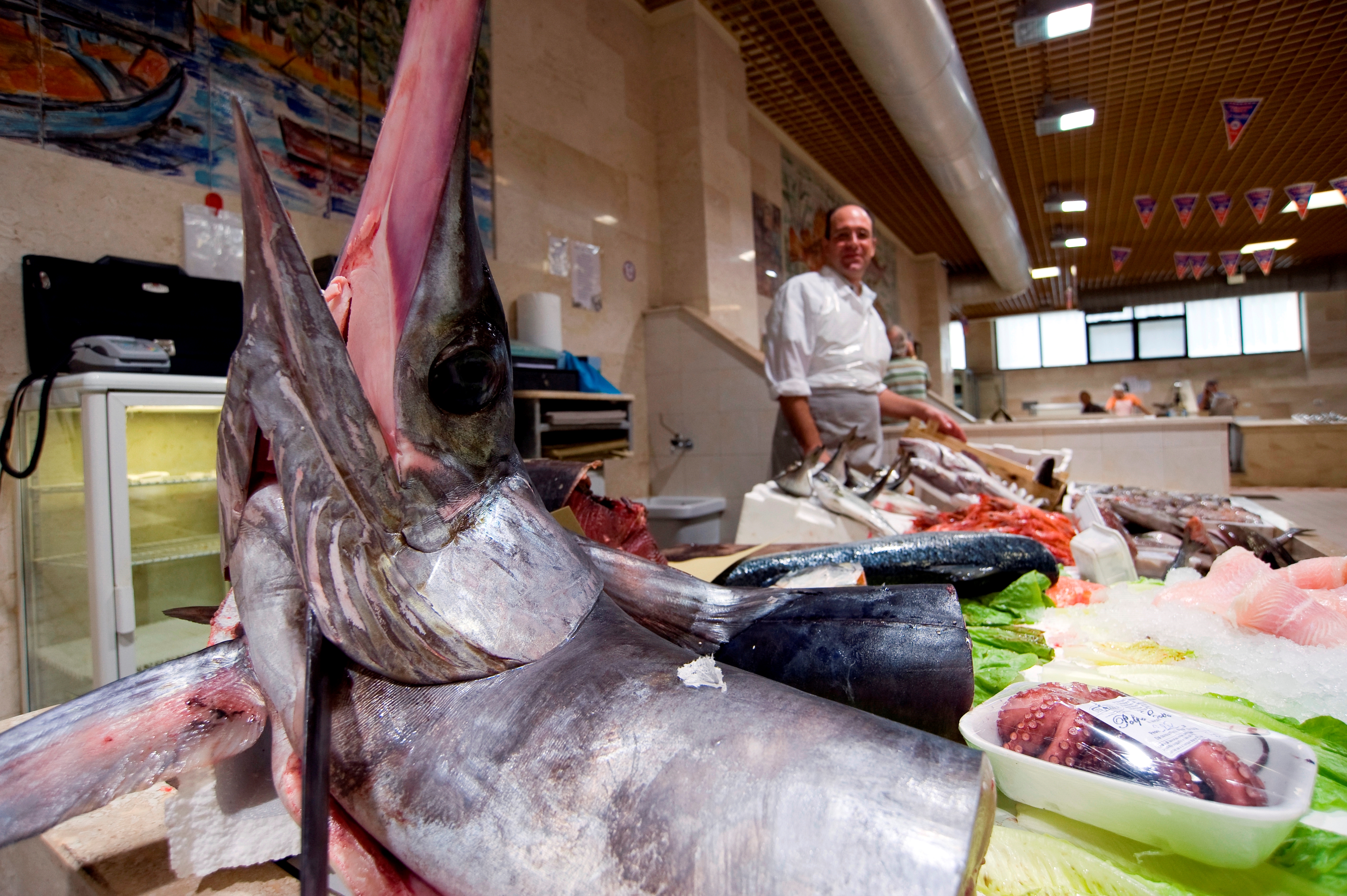 Mercato San Benedetto. Cagliari. Sardinia. Italy