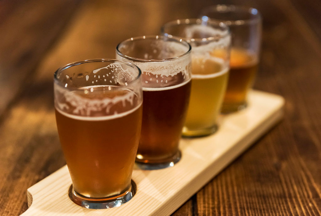 Assorted craft beer samples at a micro-brewery