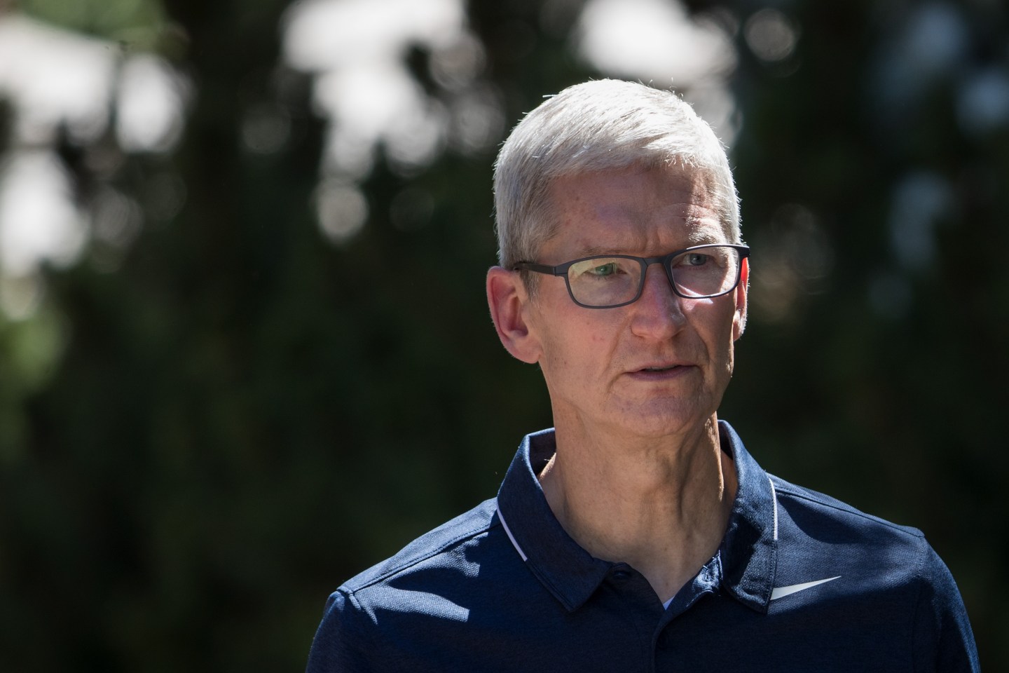Tim Cook, CEO of Apple.
