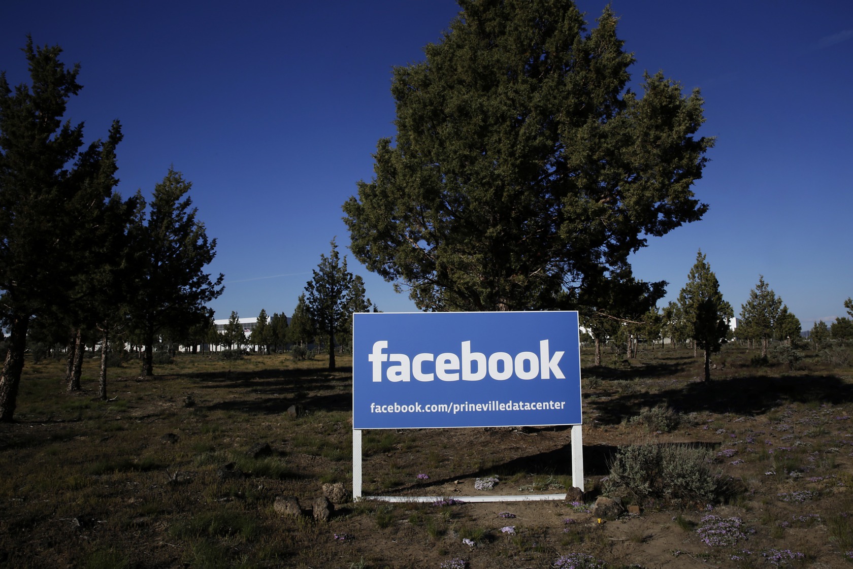 The Facebook