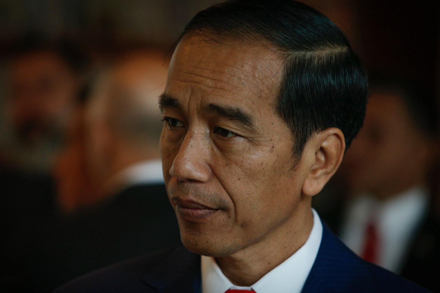 President Widoko of Indonesia meets PM Turnbull of Australia at G20