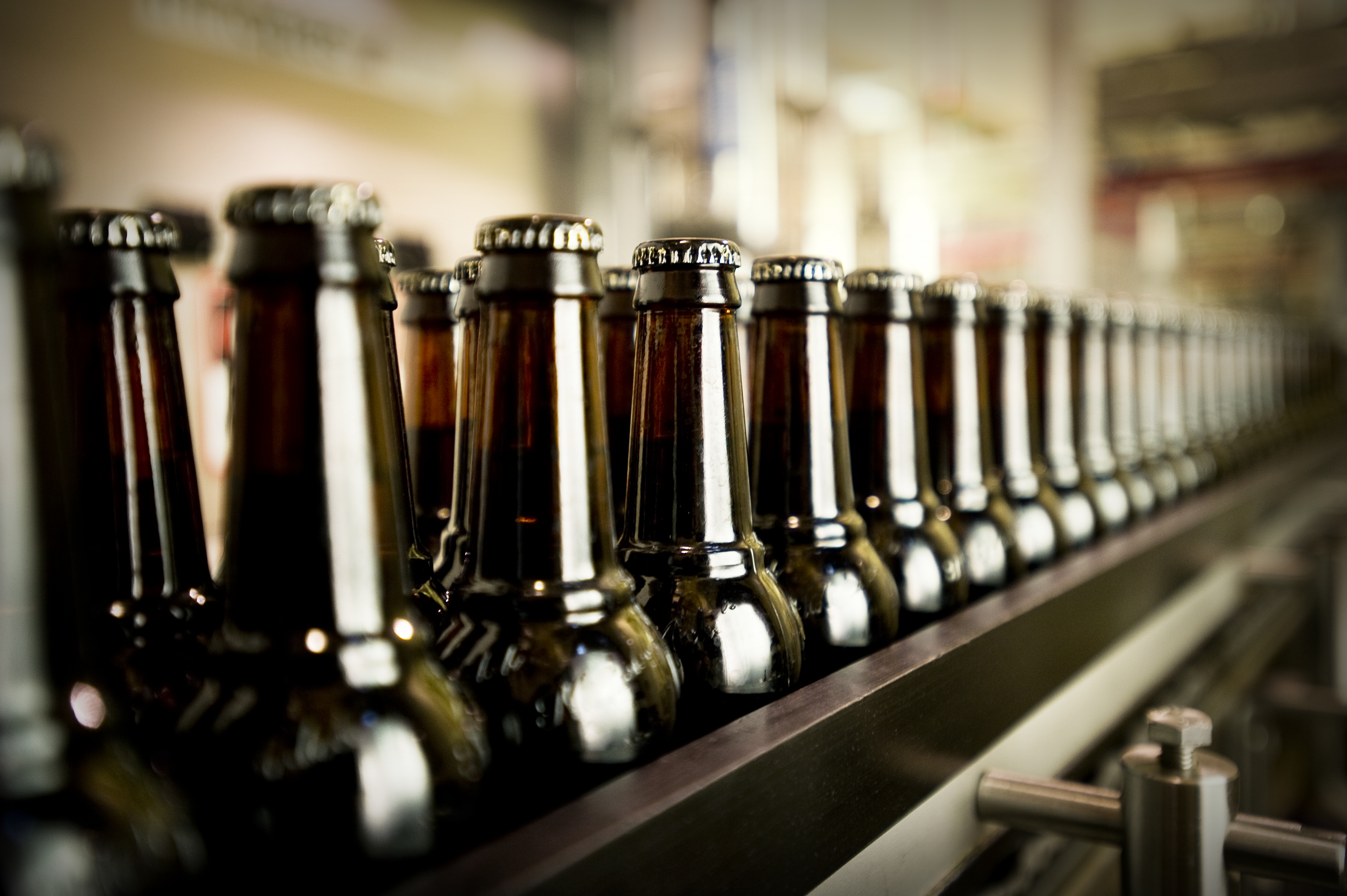 Capped beer bottles in the filling room