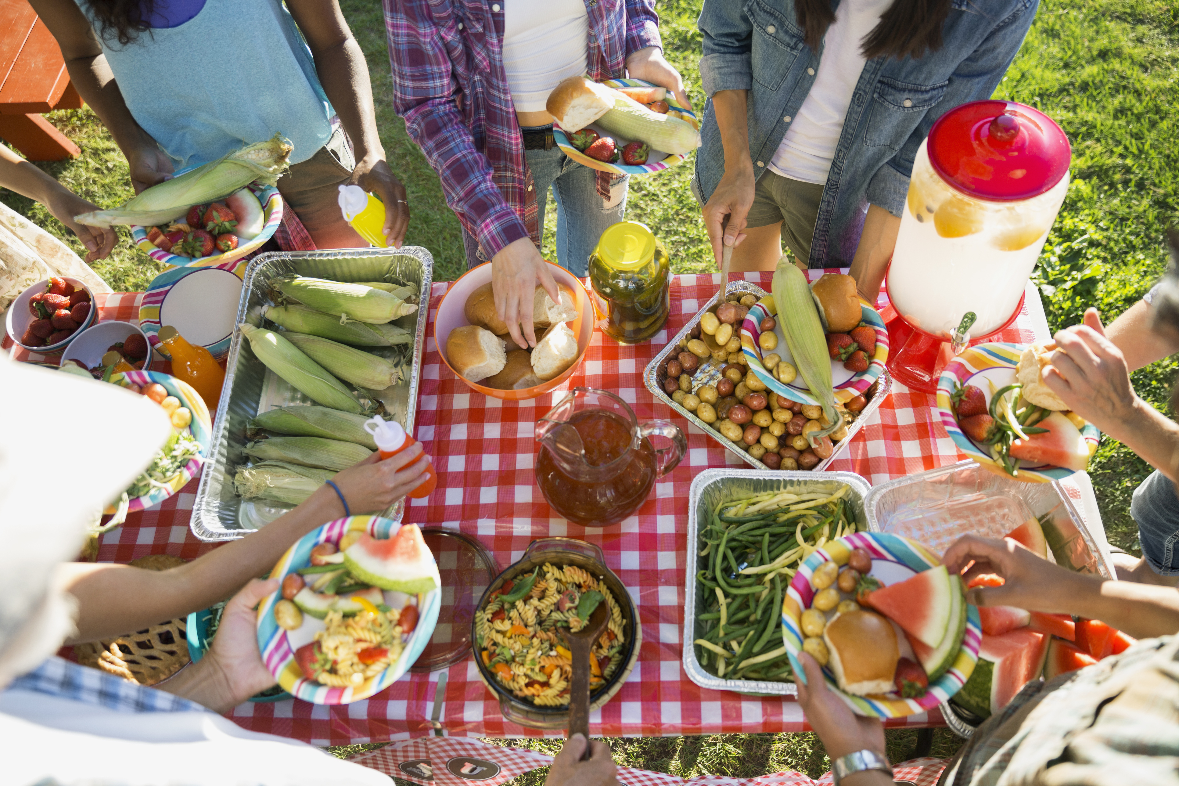 Overhead smiling neighbors around potluck table sunny park
