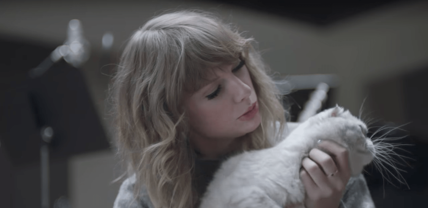 Watch Taylor Swift Talk to Her Cat, Eat Cookie Dough, and Beat Up Andy Samberg