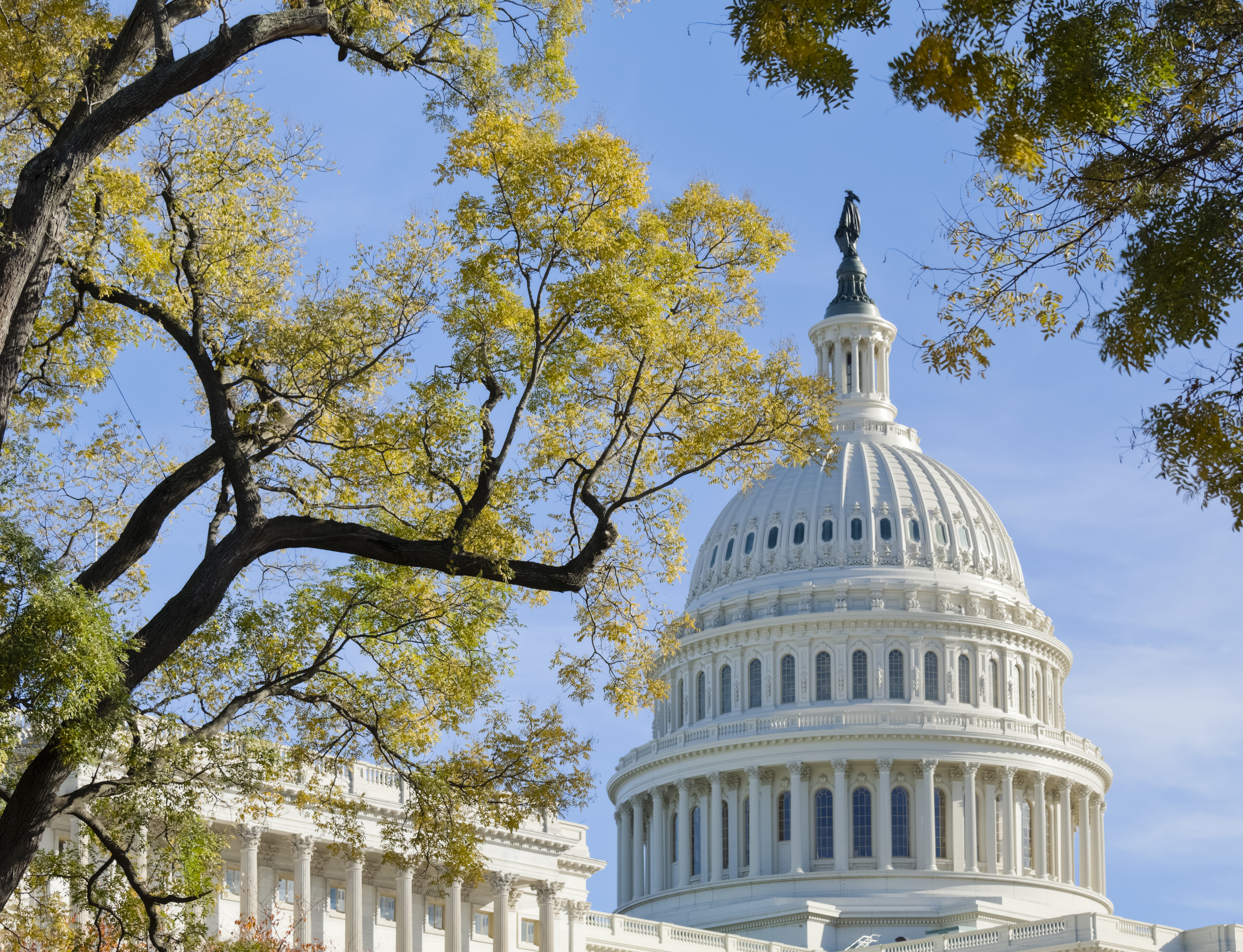 United States Capitol Dome Bordered by Trees in Autumn