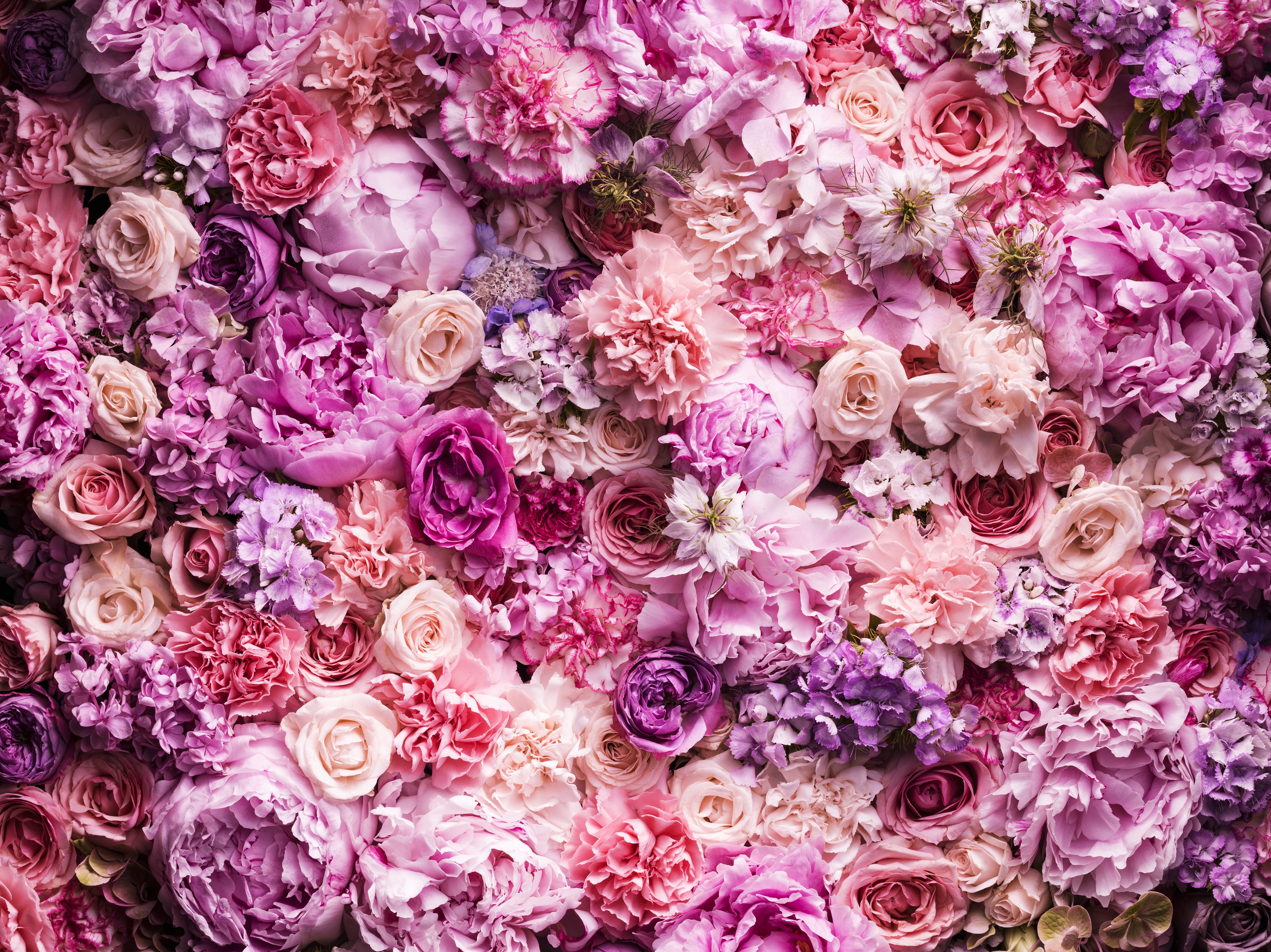 Various cut flowers, detail