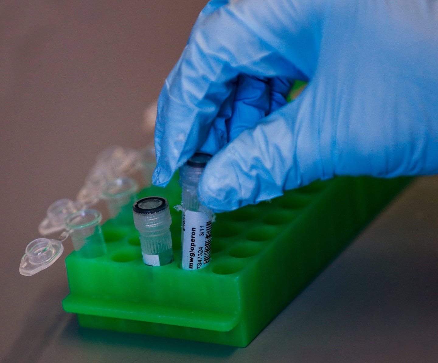 When Baby Genes Are for Sale, the Rich Will Pay