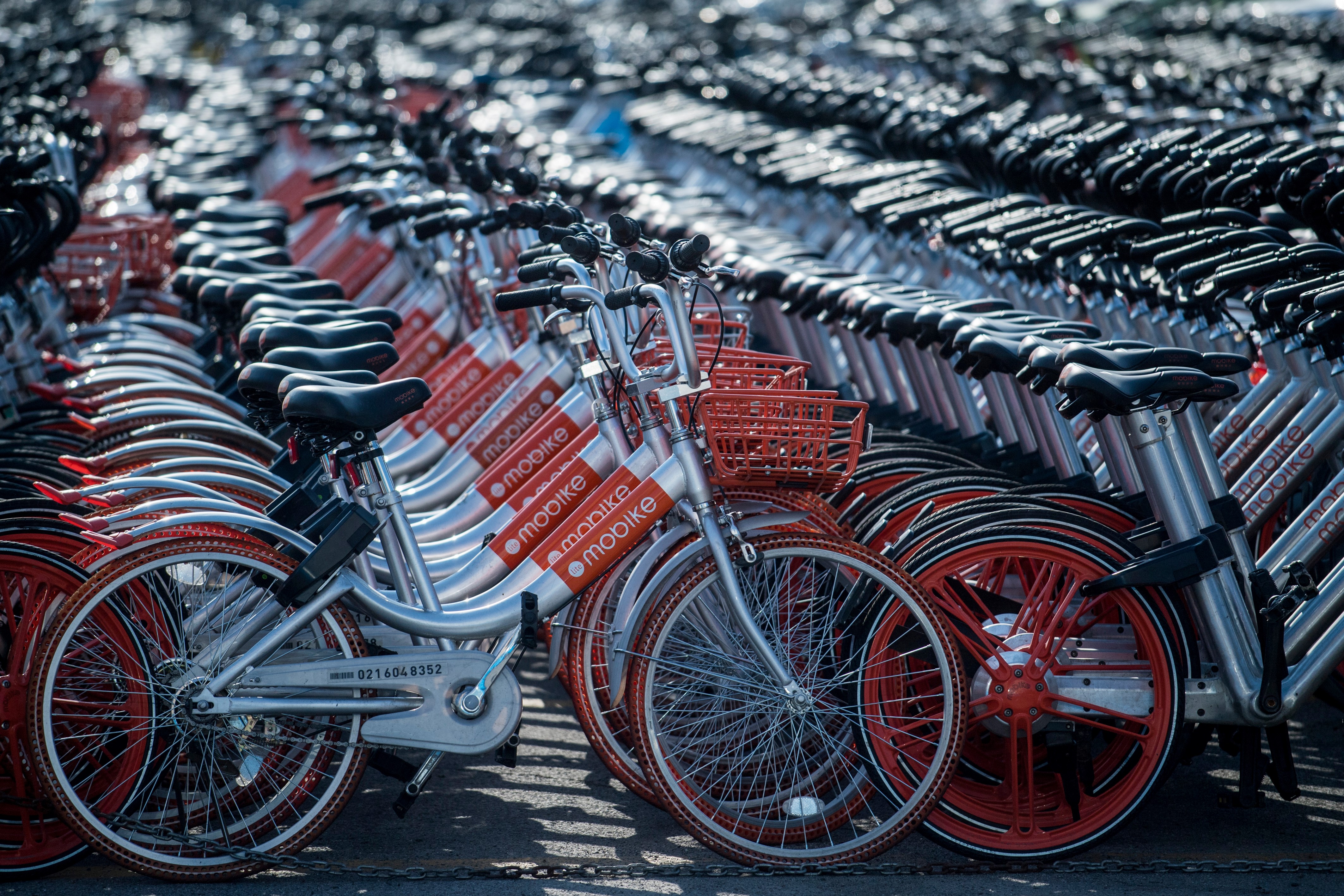 CHINA-TRANSPORT-BIKES-IMPOUND
