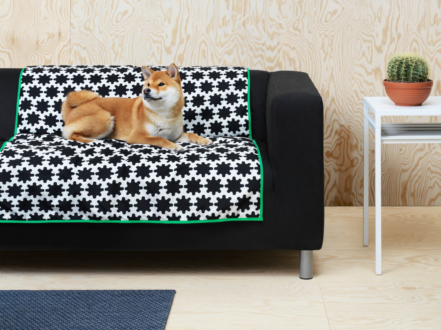 IKEA Now Makes Furniture for Your Pets