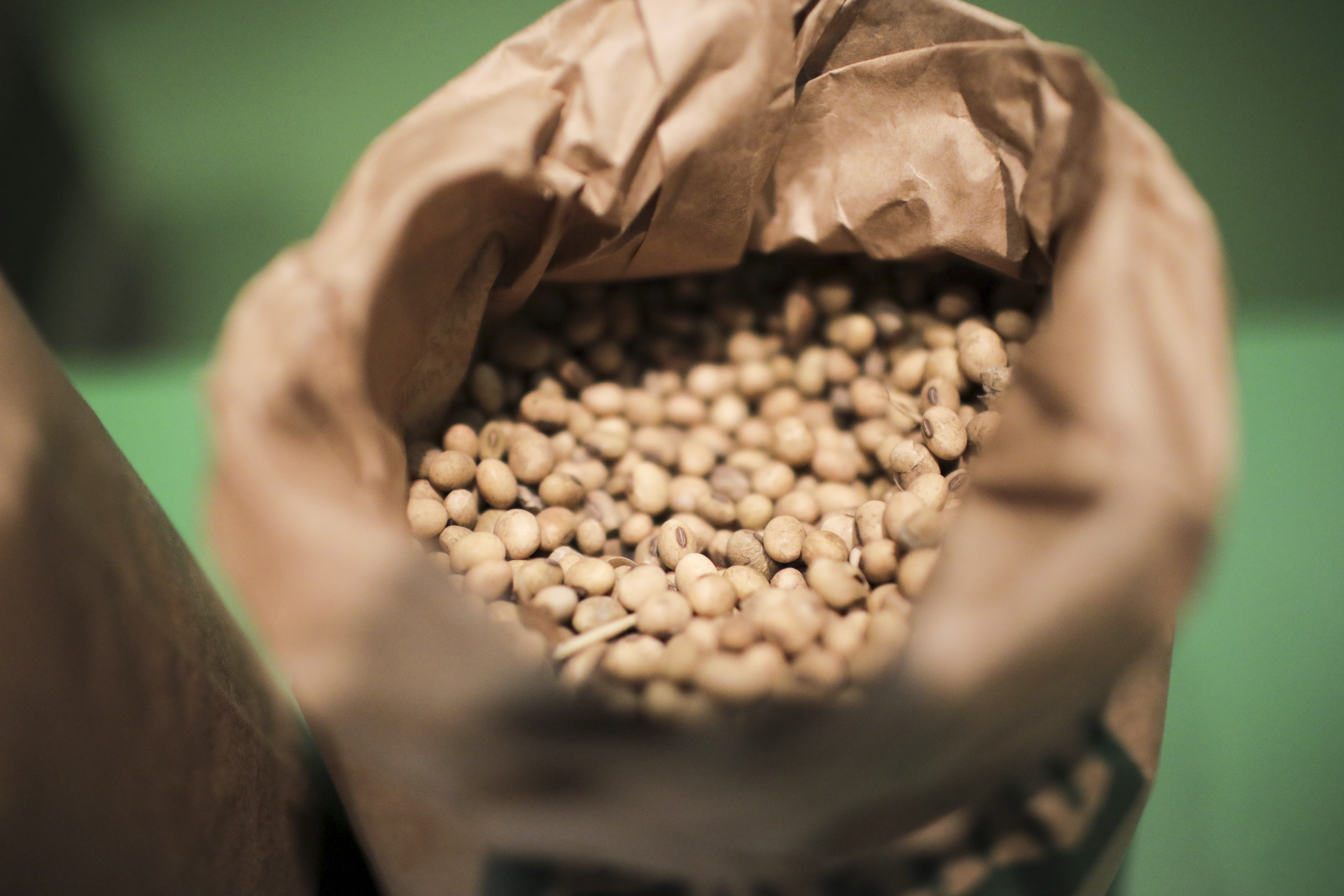 Soy beans