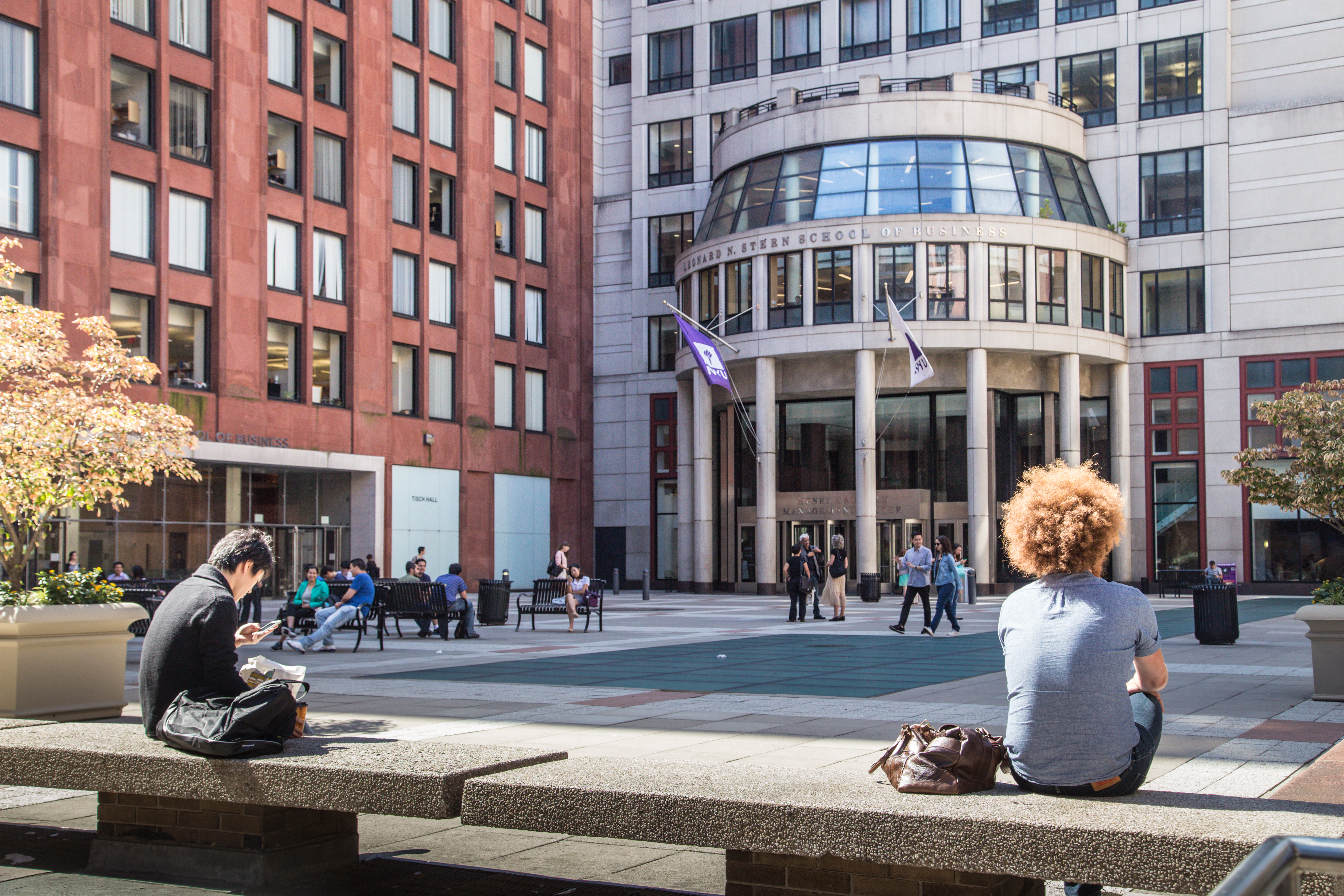 New York University NYU