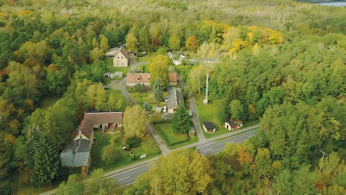 Alwine in Brandenburg, Germany.