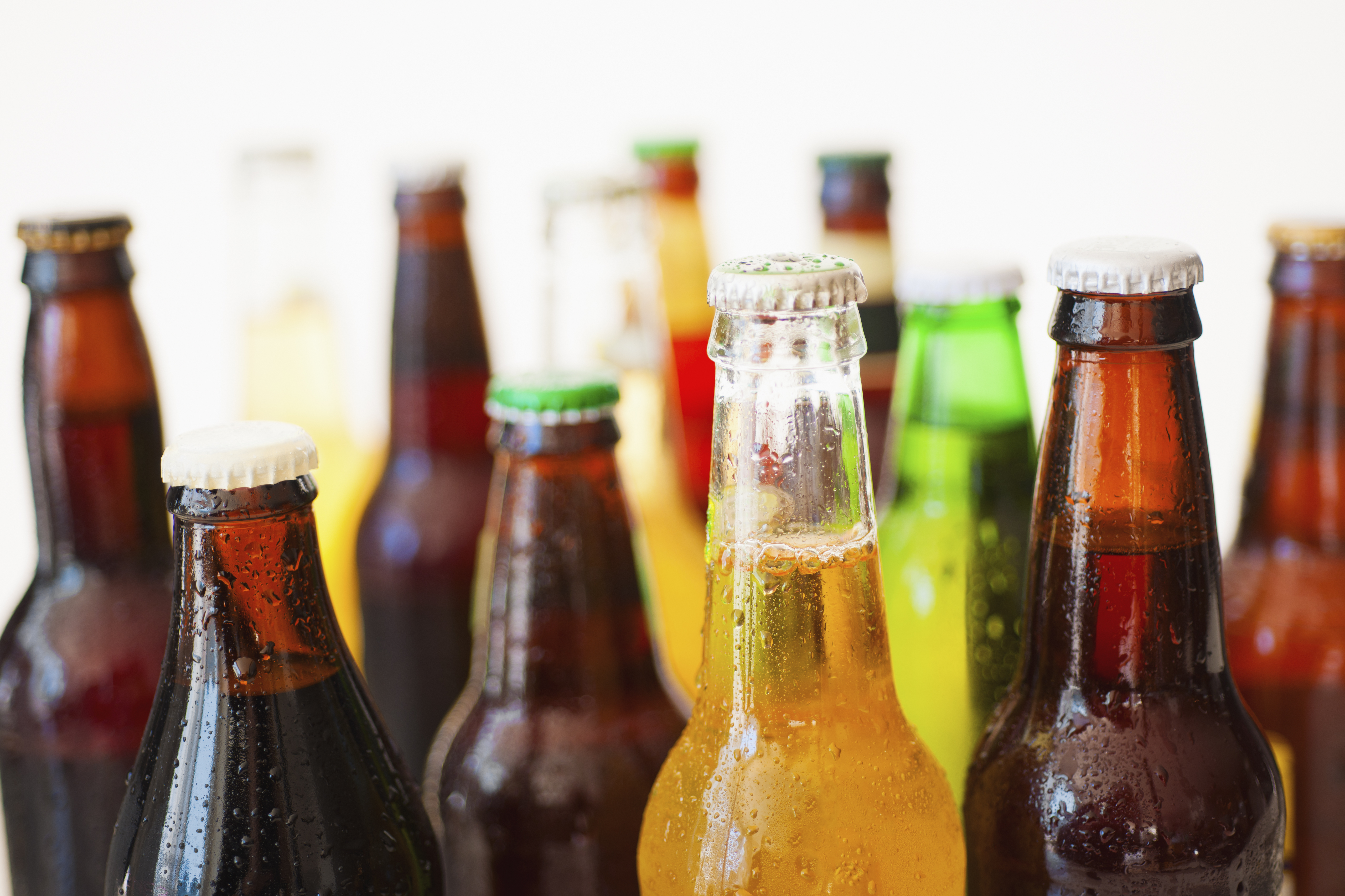 Studio shot of various beer bottles