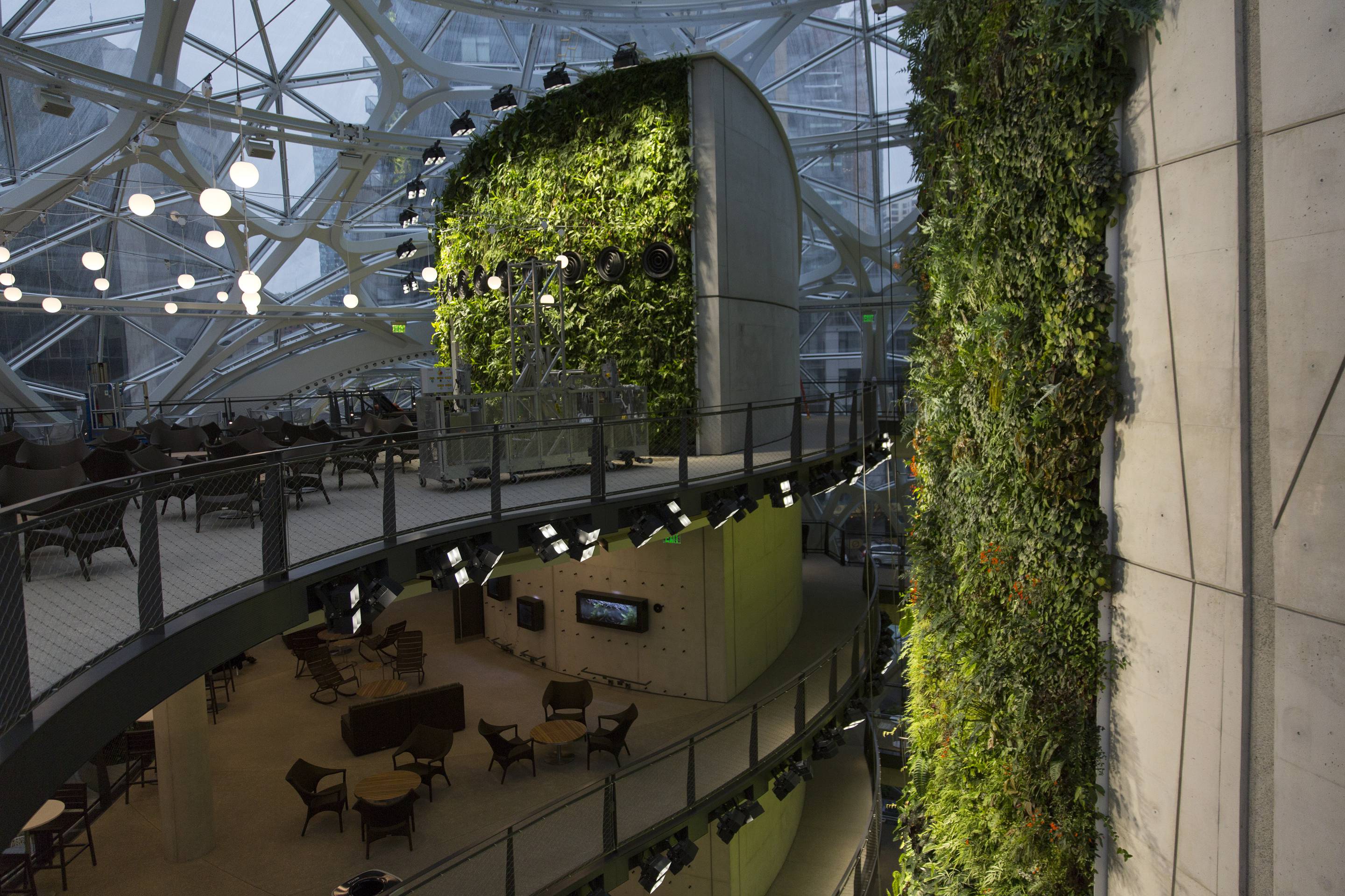 Inside Amazon's Giant Spheres, Where Workers Will Chill In A Mini Rainforest