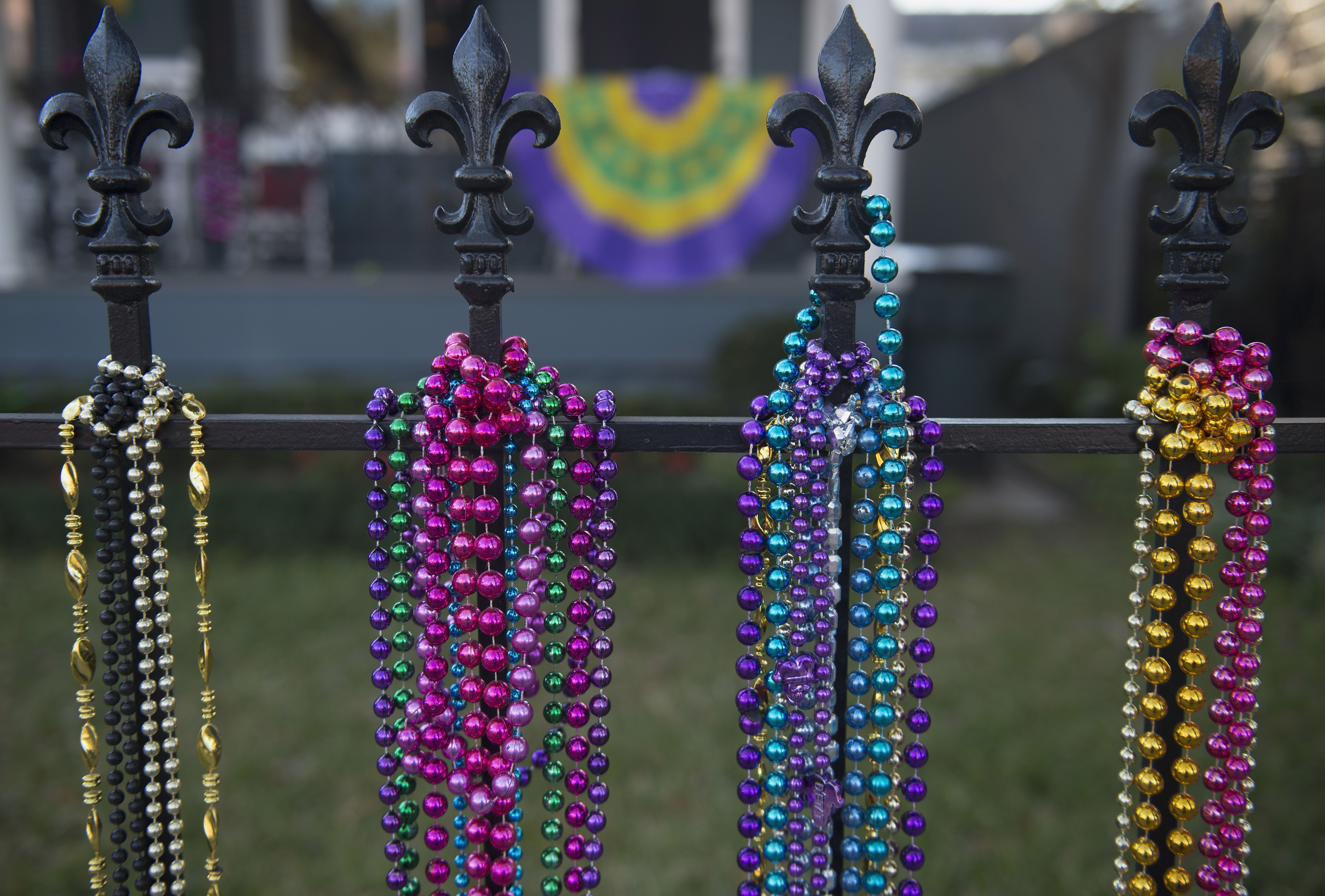 Mardi Gras 2016 - February 7, 2016