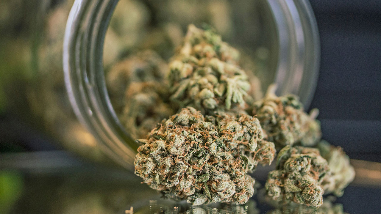 Seattle Moves to Wipe Out 2 Decades Of Marijuana Possession Convictions