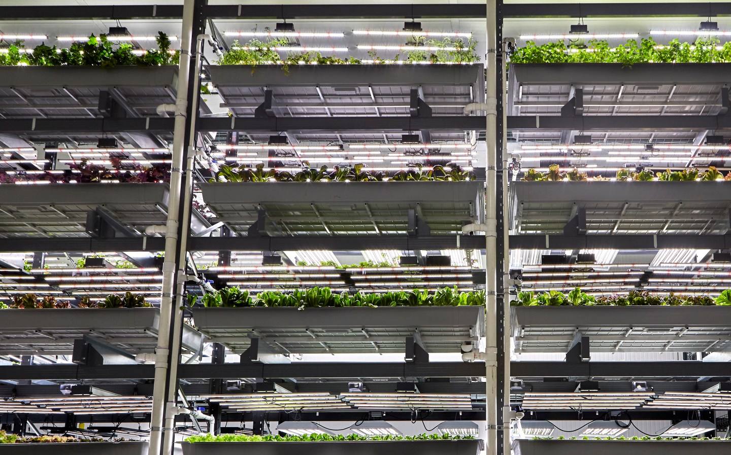 This Startup Is Building the Techiest Indoor Farm in the World