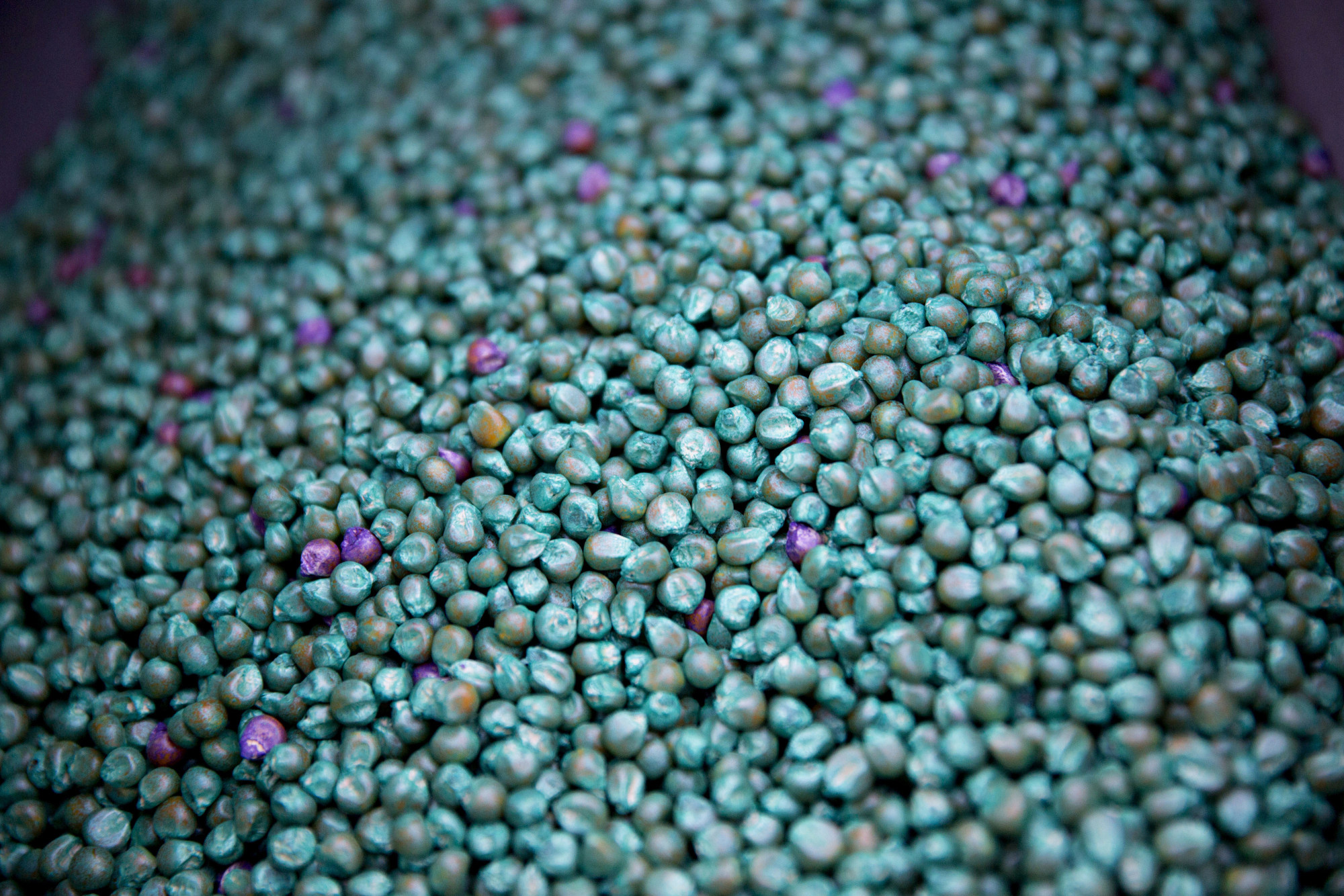 Bayer Clears EU Hurdle for Monsanto Deal With BASF Sale Pledge